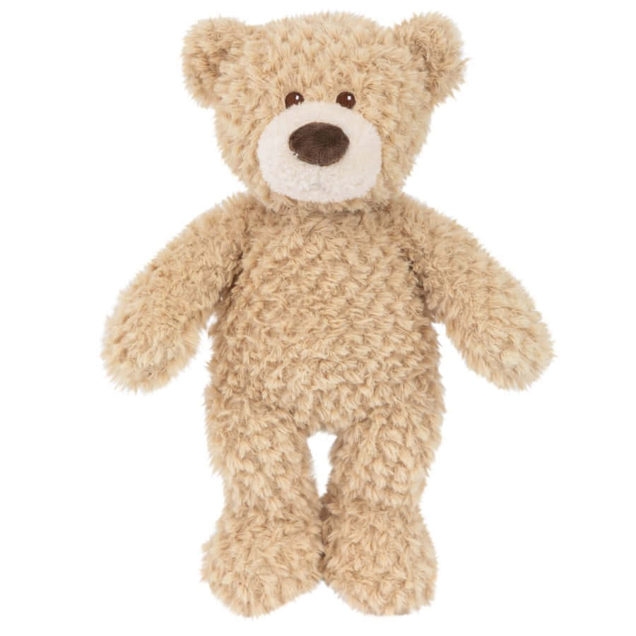 Teddy Bear 桌布 壁紙 — 一隻毛茸茸的米色泰迪熊，白色口鼻和深色眼睛，站在純白色背景前。