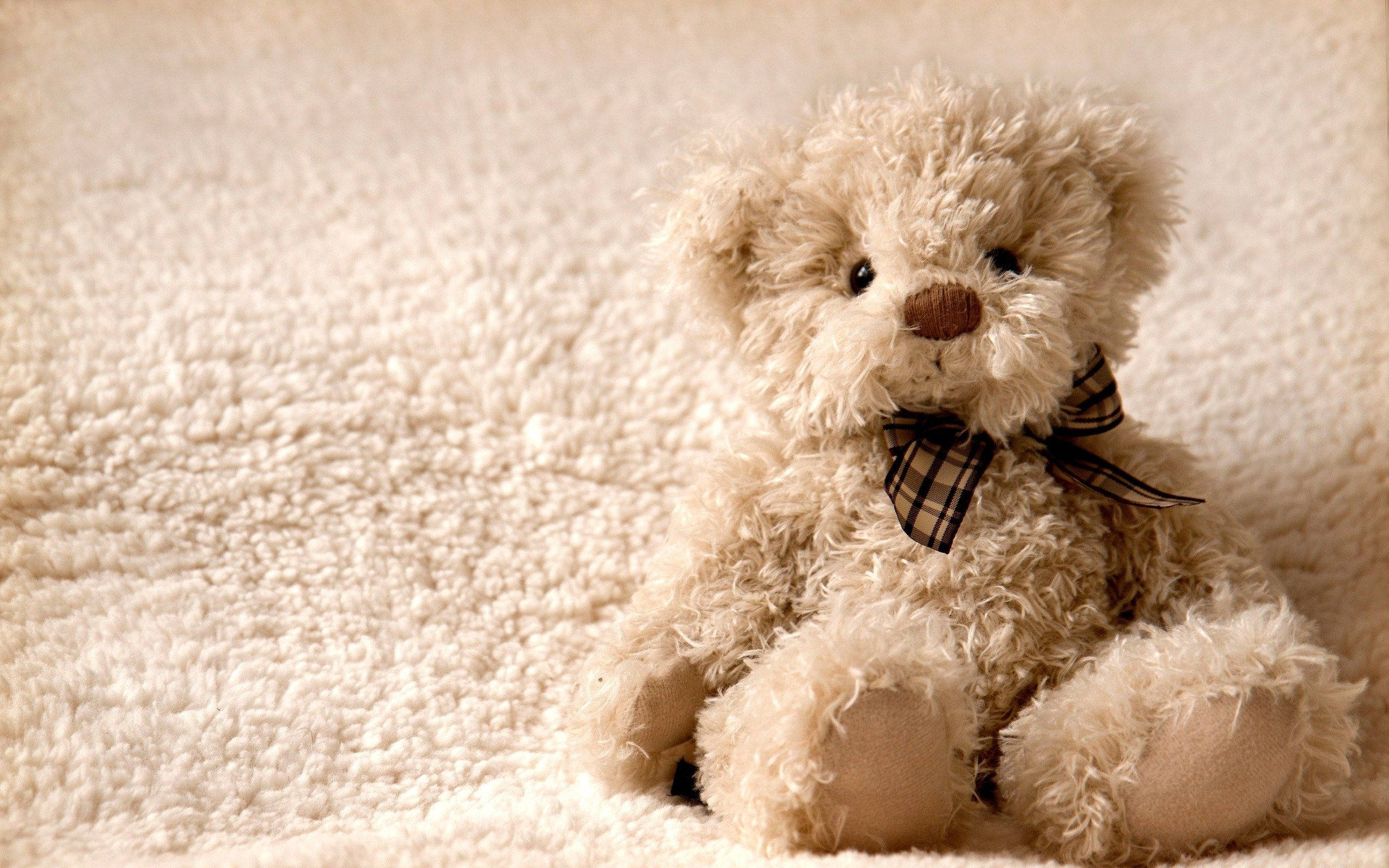 Teddy Bear 桌布 壁紙 — 一隻毛茸茸的米色泰迪熊，繫著格子蝴蝶結，寧靜地坐在柔軟的奶油色紋理毛毯上。