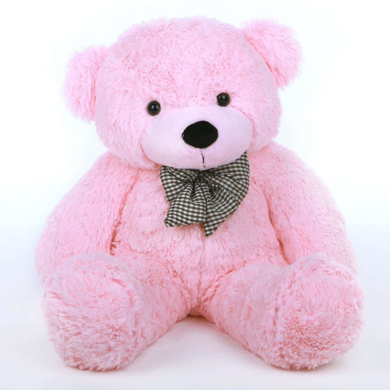bear love 桌布 壁紙 — 一隻毛茸茸的粉紅色泰迪熊，繫著綠色和白色格紋蝴蝶結，坐在純白色背景前。