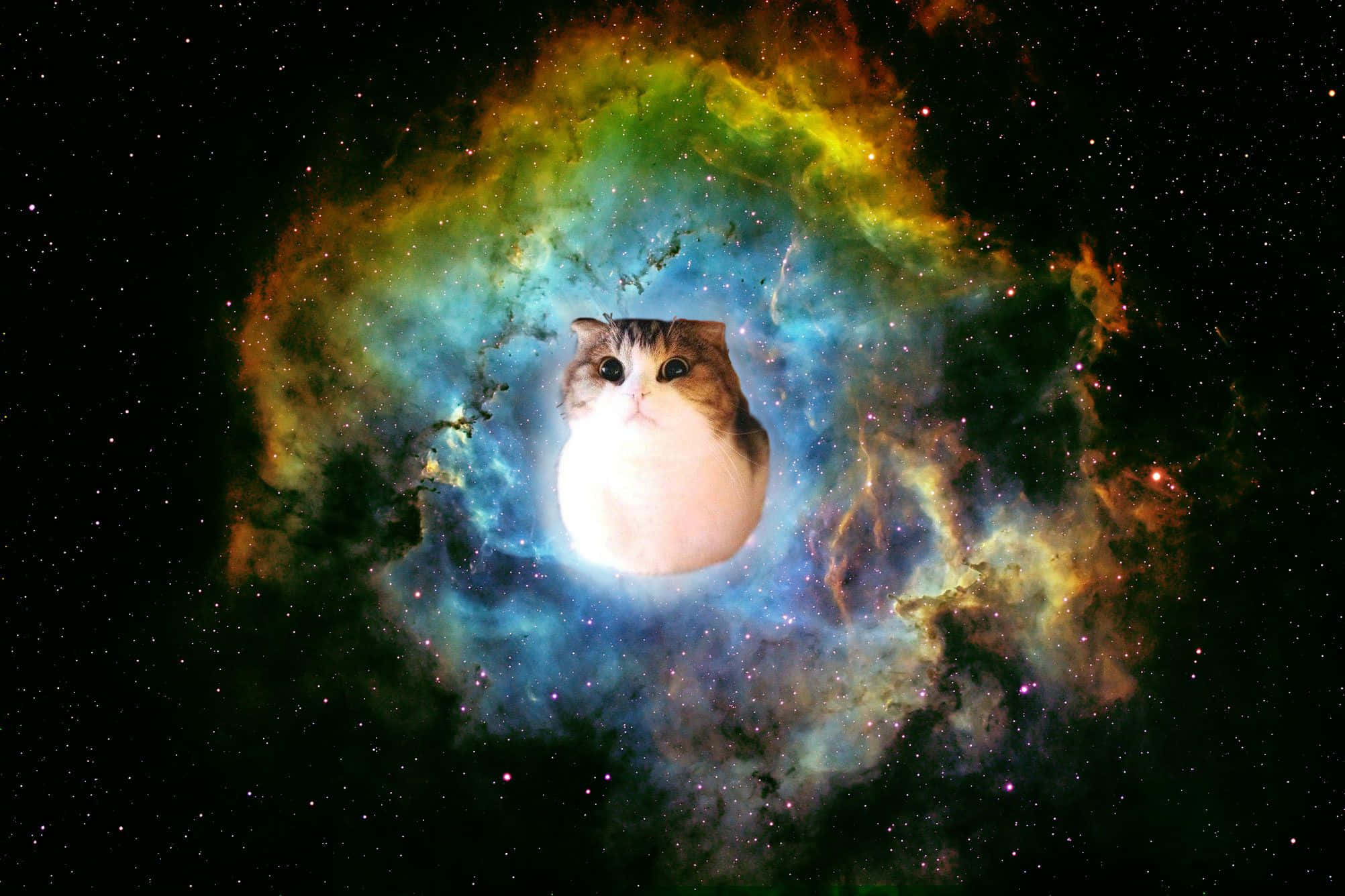 外太空 桌布 壁紙 — 一隻毛茸茸的貓咪平靜地漂浮在充滿活力的宇宙星雲中心，散發著綠色、藍色和橙色的光芒。