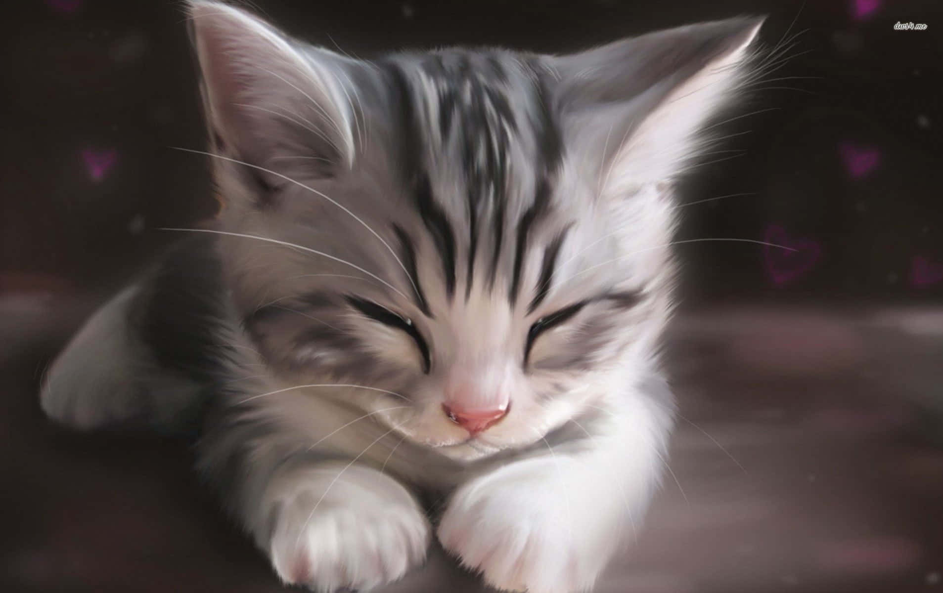 Kitten Cat 桌布 壁紙 — 一隻毛茸茸的銀色虎斑小貓在點綴著柔和紫色心形的深色背景前閉著眼睛安詳地睡覺。