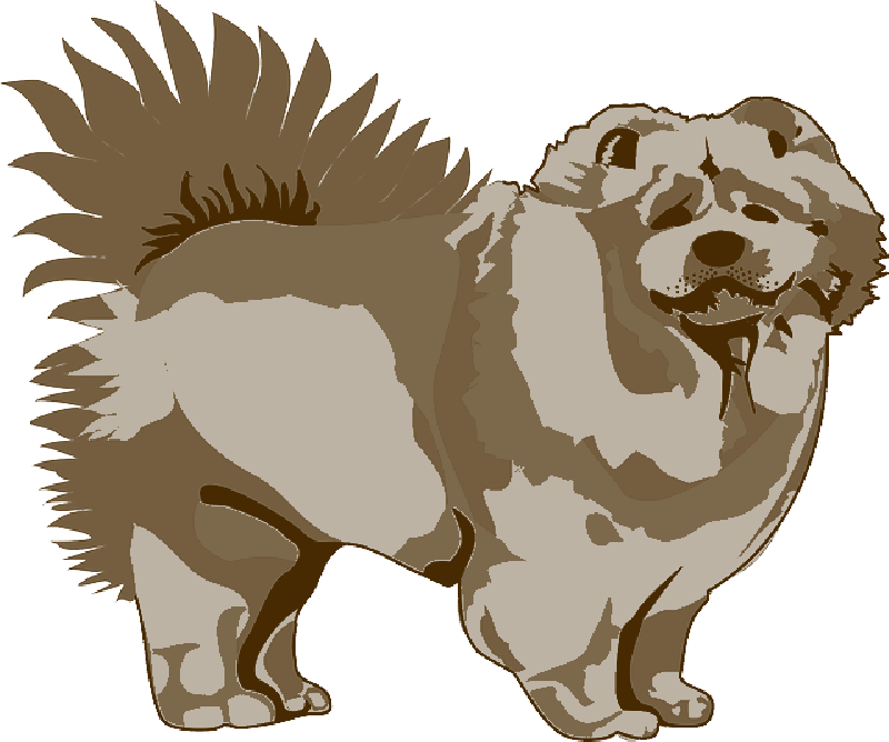 fluffy 桌布 壁紙 — 一隻毛茸茸的鬆獅犬側面站立的風格化插圖，尾巴蓬鬆。