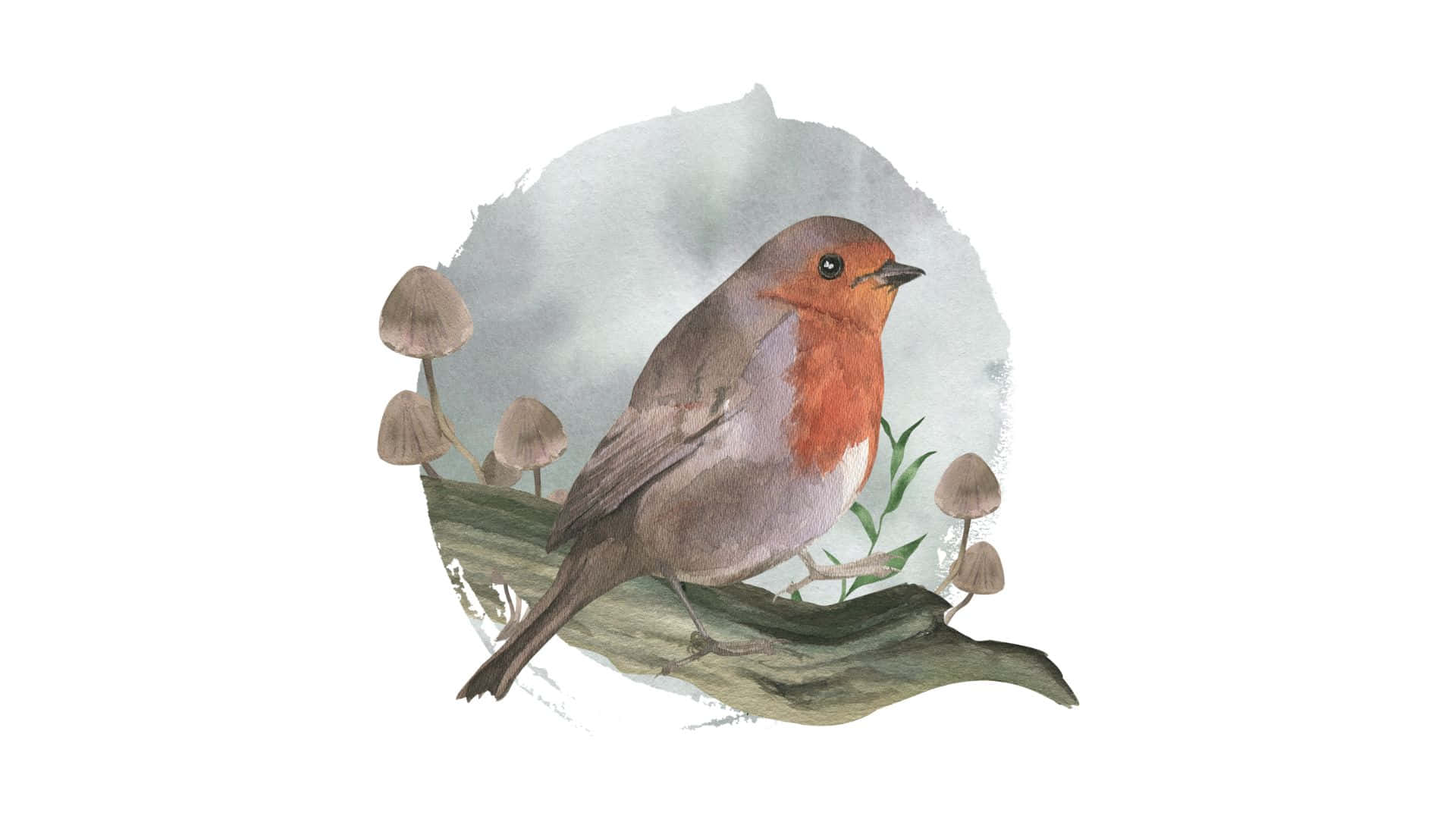 Watercolor 桌布 壁紙 — 一隻水彩畫的知更鳥棲息在長滿苔蘚的樹枝上，周圍有小蘑菇，背景是柔和的灰色圓形。