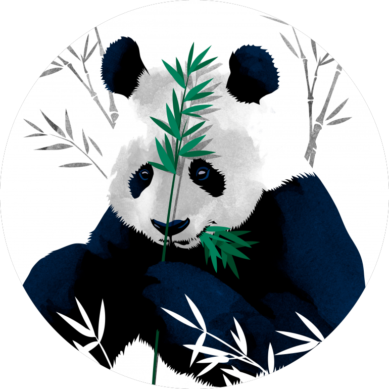 可愛熊貓 桌布 壁紙 — 一隻水彩風格的熊貓在一個圓形框架內拿著一根綠色的竹莖，周圍環繞著竹子的剪影。