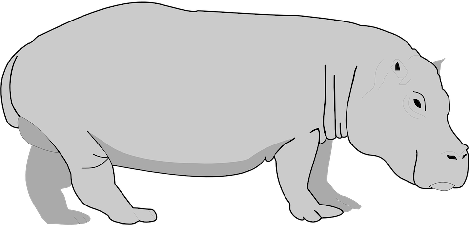 hippo 桌布 壁紙 — 一隻河馬站在黑色背景前的極簡灰色線條藝術插圖。