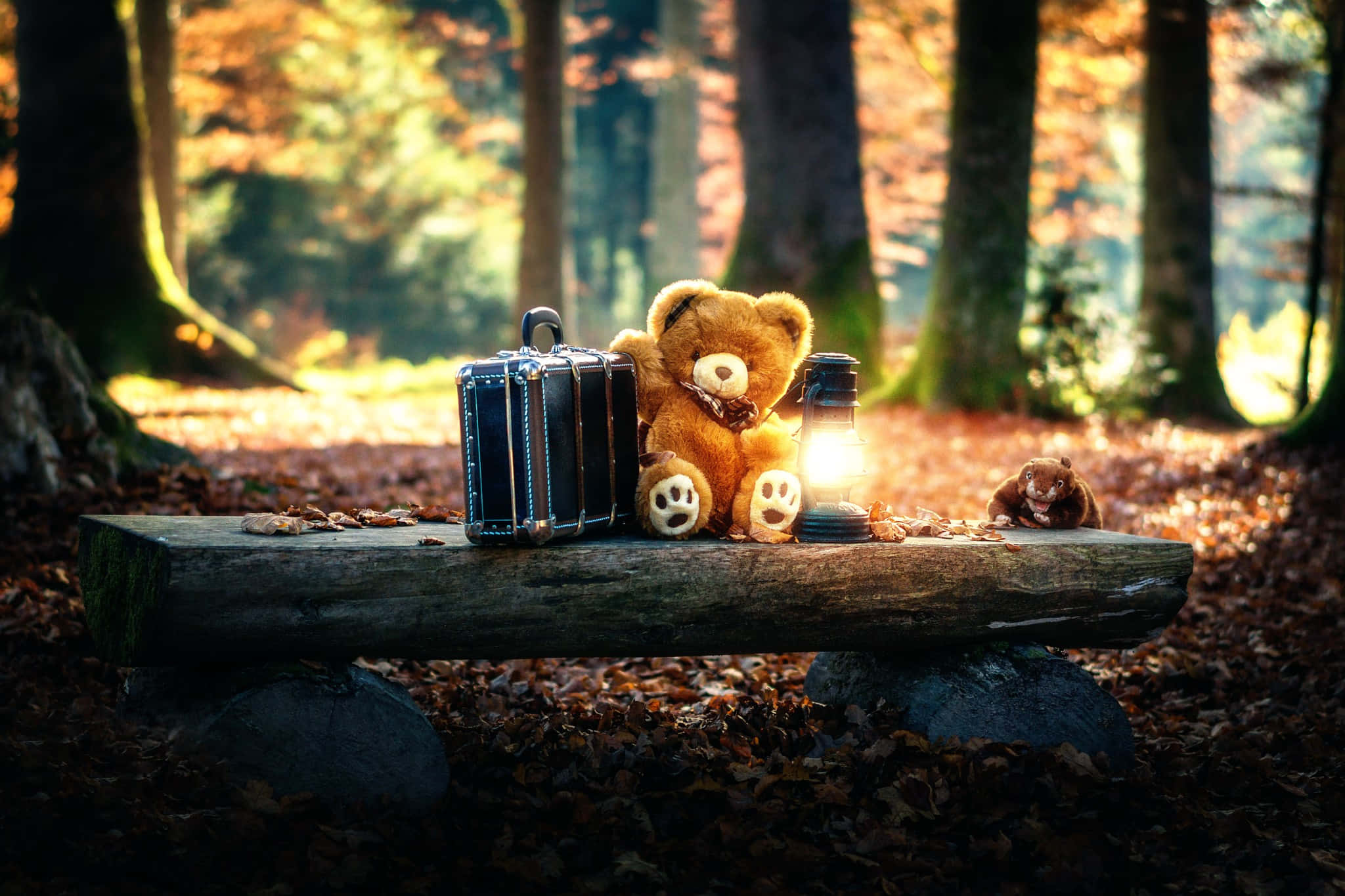 Cute Teddy 桌布 壁紙 — 一隻泰迪熊坐在長滿苔蘚的木頭上，身處陽光明媚的秋日森林，旁邊放著一個手提箱和燈籠。