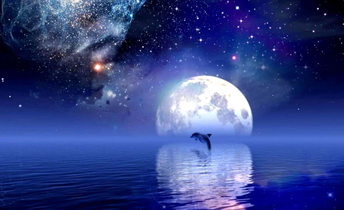 月光 桌布 壁紙 — 一隻海豚在巨大的月亮和星空宇宙下從發光的藍色水中躍起。