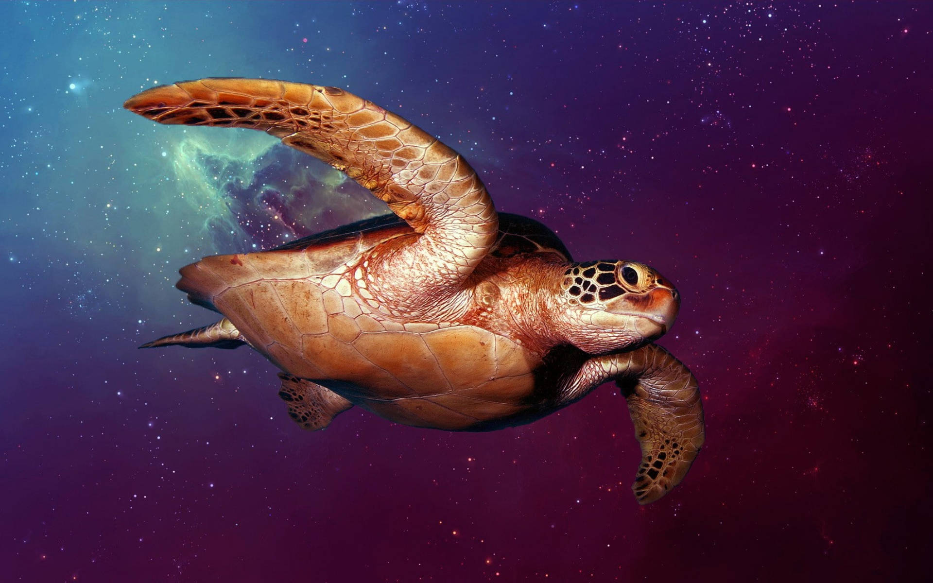 酷炫烏龜 桌布 壁紙 — 一隻海龜優雅地滑過充滿星星和發光氣體雲的鮮豔宇宙星雲。