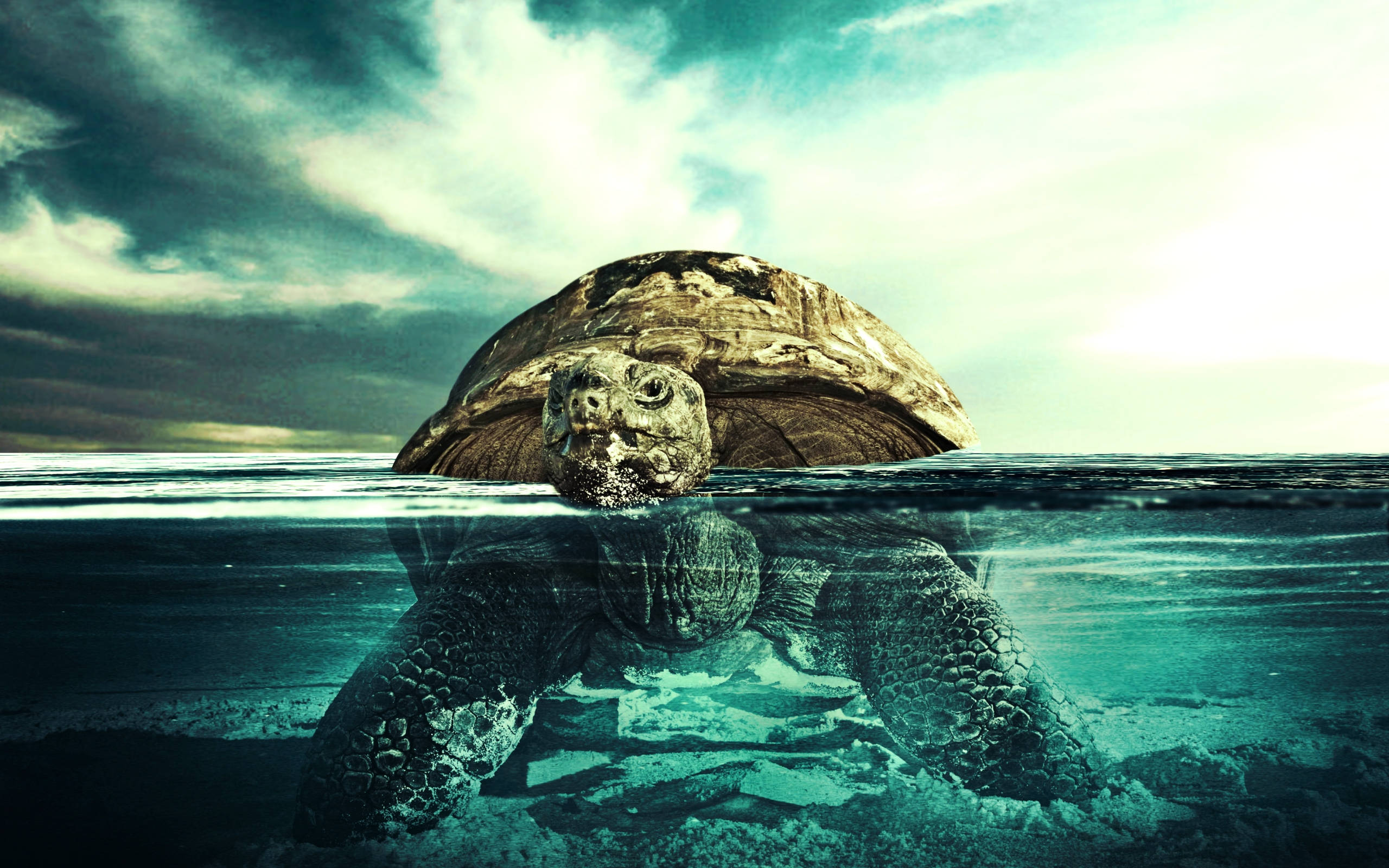 海洋 桌布 壁紙 — 一隻海龜在暴風雨的天空下穿過湍急的水面浮出，其倒影在下方可見。