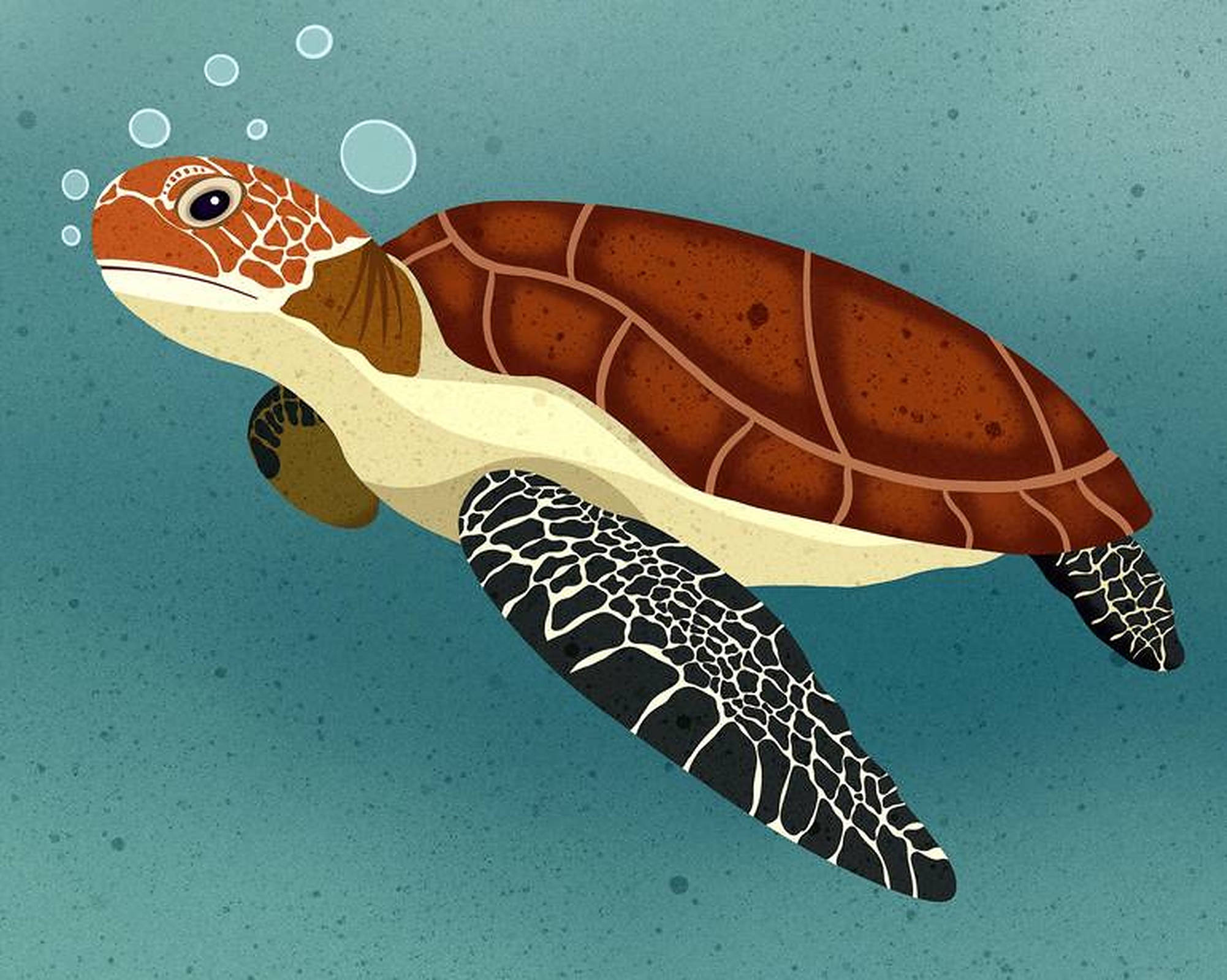 Turtle 桌布 壁紙 — 一隻海龜在碧綠色的水中優雅地滑行，旁邊有氣泡升起。