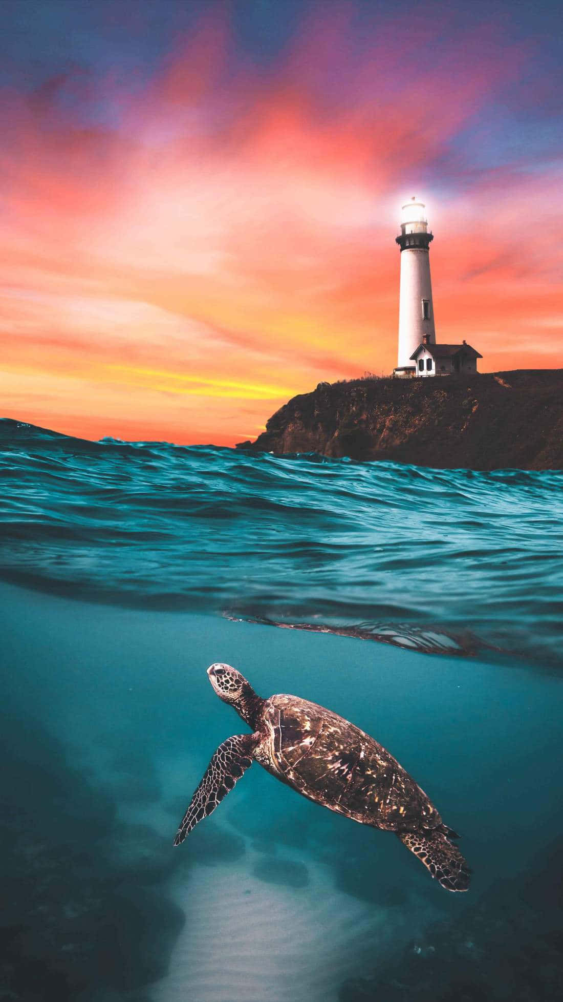 Turtle iPhone HD 桌布 壁紙 — 一隻海龜在色彩繽紛的日落天空下於水中滑行，而一座燈塔矗立在上方的岩石懸崖上。