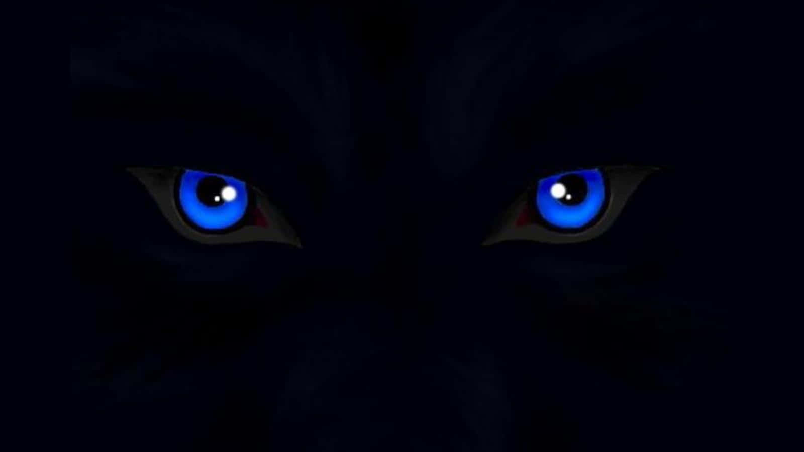 Wolf Eyes 桌布 壁紙 — 一隻深色貓科動物發光的藍色眼睛從完全黑暗中強烈凝視。
