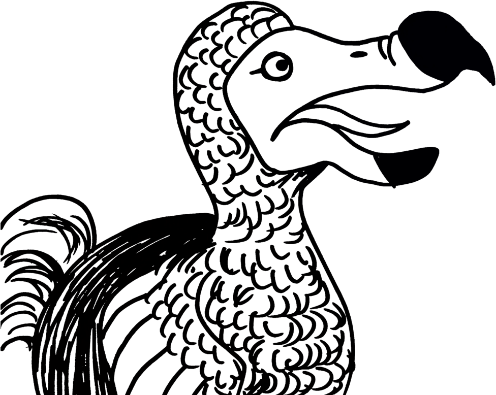 dodo 桌布 壁紙 — 一隻渡渡鳥的風格化黑白線條插圖，帶有紋理羽毛，背景為純黑色。