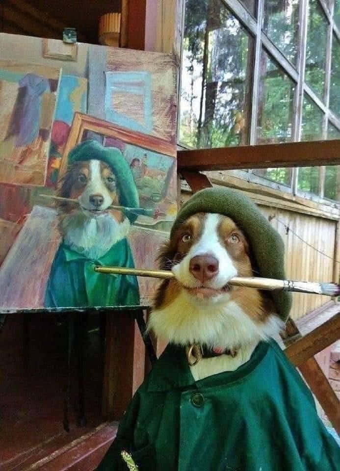 Pet Memes 桌布 壁紙 — 一隻澳洲牧羊犬打扮成藝術家，戴著綠色貝雷帽和罩衫，在工作室裡拿著畫筆站在自己的畫作旁邊。