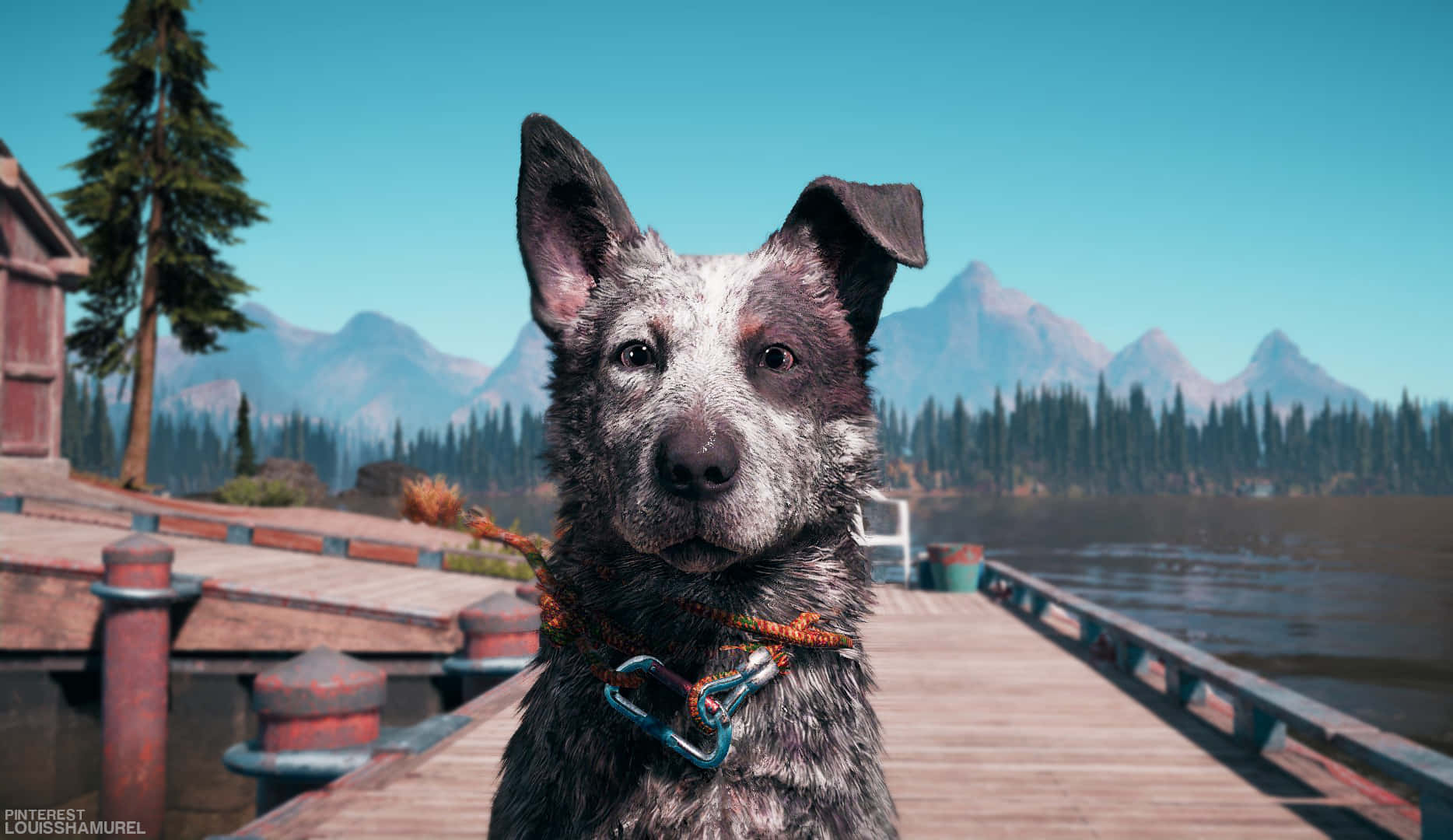 Far Cry 5 4K 桌布 壁紙 — 一隻濕漉漉的斑點狗戴著繩索項圈，在木碼頭上，以松樹和遠處積雪的山峰為背景，在清澈的藍天下專注地凝視。