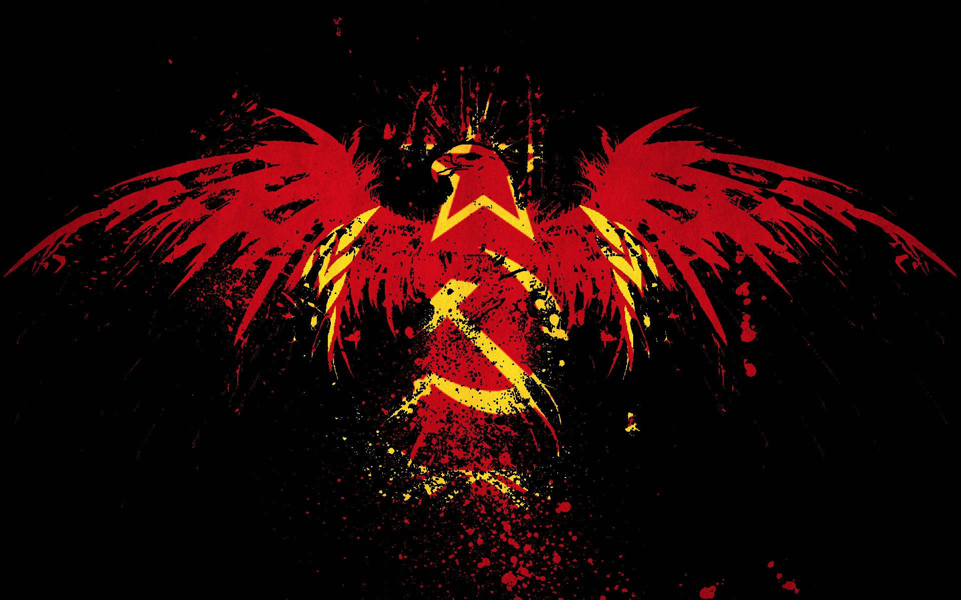 Macedonia 桌布 壁紙 — 一隻火紅和黃色的鷹展開翅膀，從黑色背景中以粗糙的飛濺風格爆發出來。