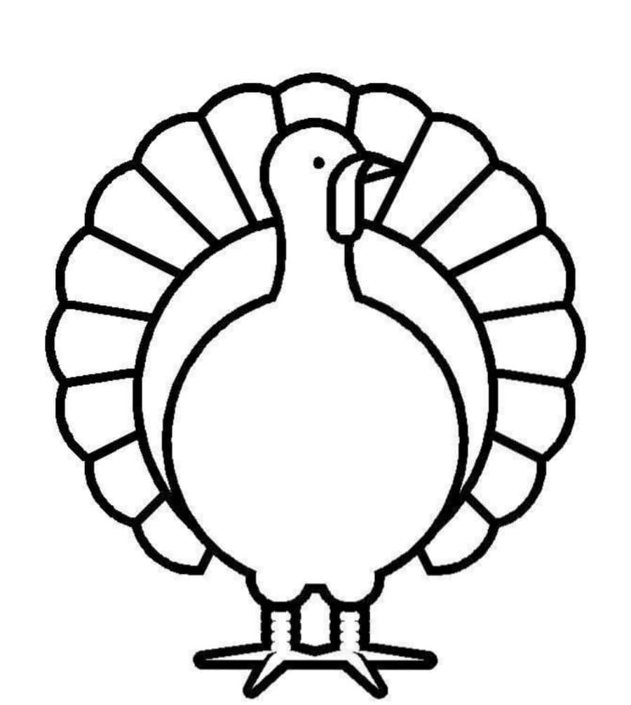 Turkey Coloring 桌布 壁紙 — 一隻火雞的簡單黑色輪廓，尾巴羽毛呈扇形展開，雙腿站立。