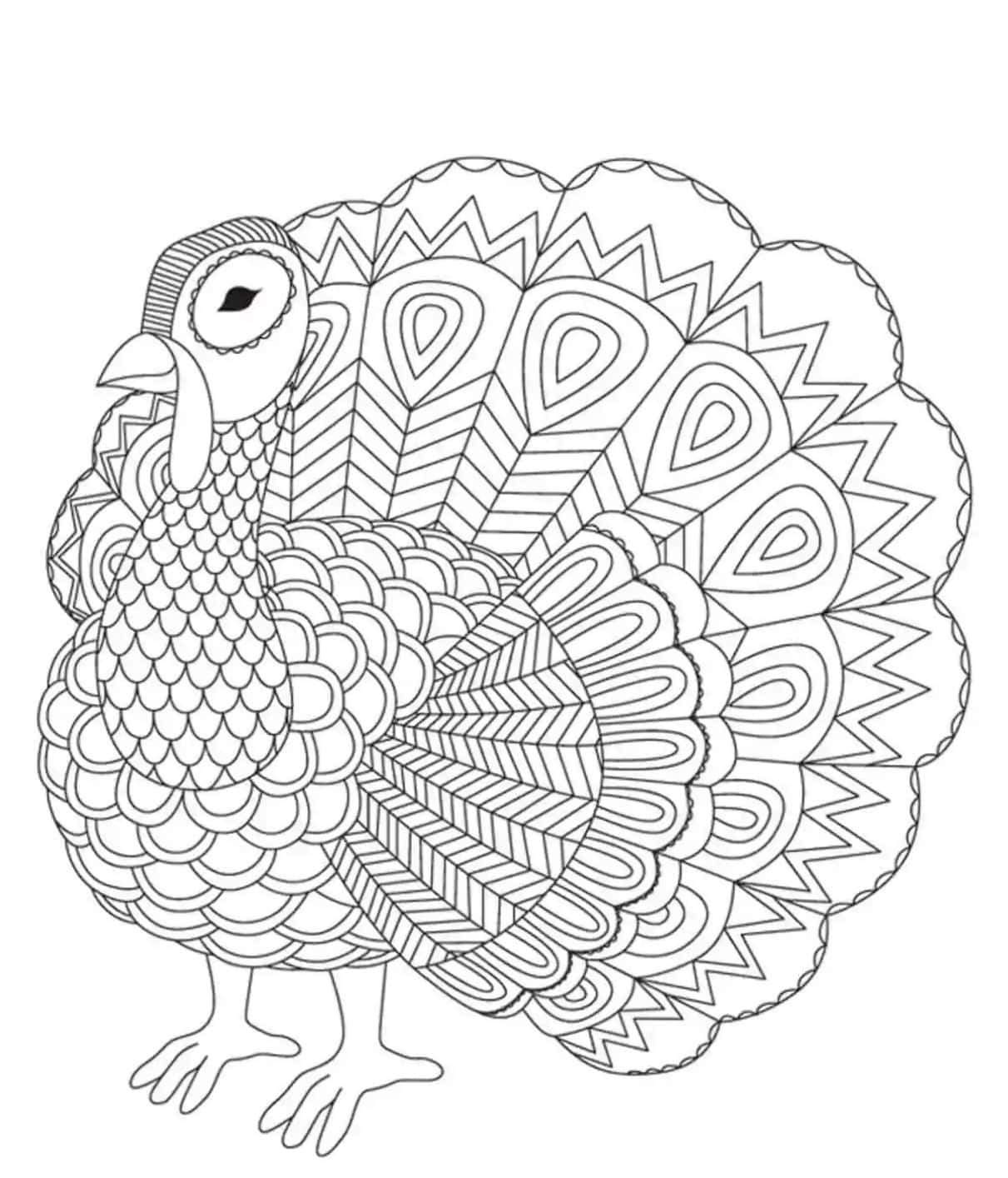 Turkey Coloring 桌布 壁紙 — 一隻火雞的詳細黑白線條畫，其羽毛上帶有複雜的幾何圖案。