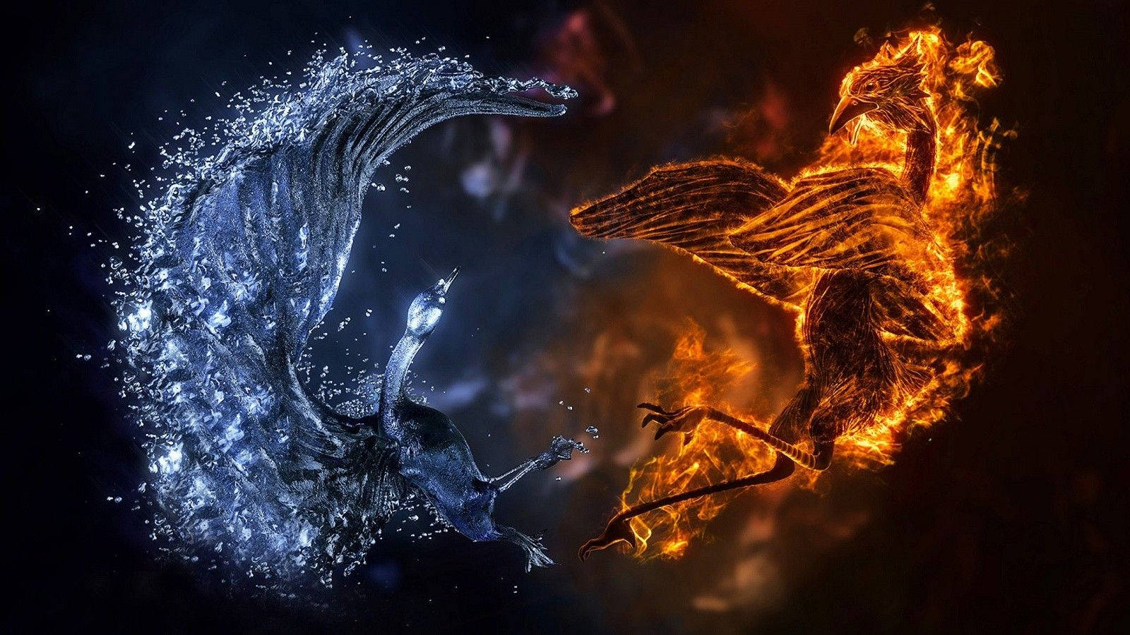 1600x900 桌布 壁紙 — 一隻火鳳凰和一隻水鳳凰在黑暗背景下進行戲劇性的元素戰鬥。