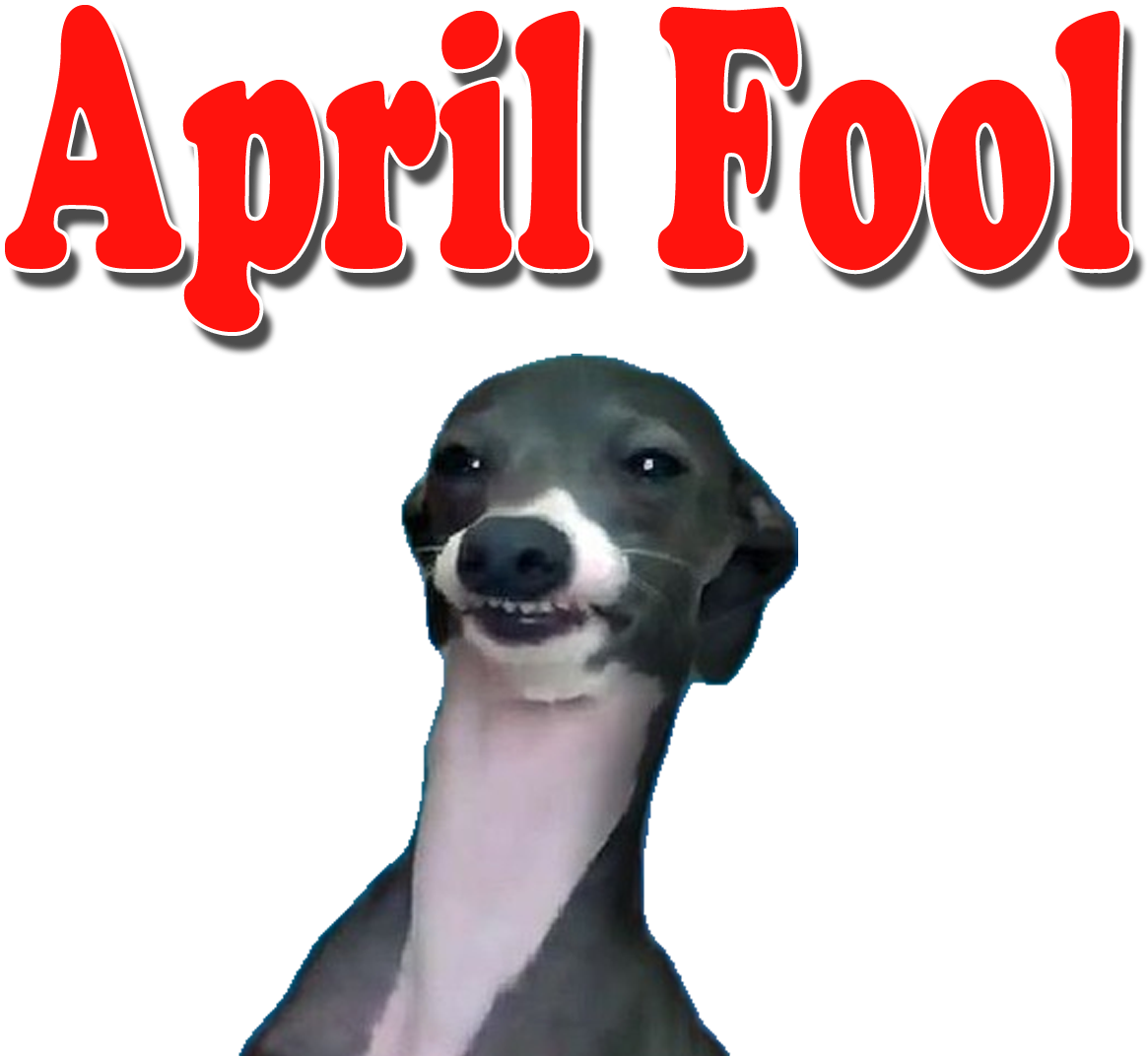 Dog Meme 桌布 壁紙 — 一隻灰白色的義大利靈緹犬咧嘴大笑，上方有紅色的「April Fool」文字，背景為黑色。