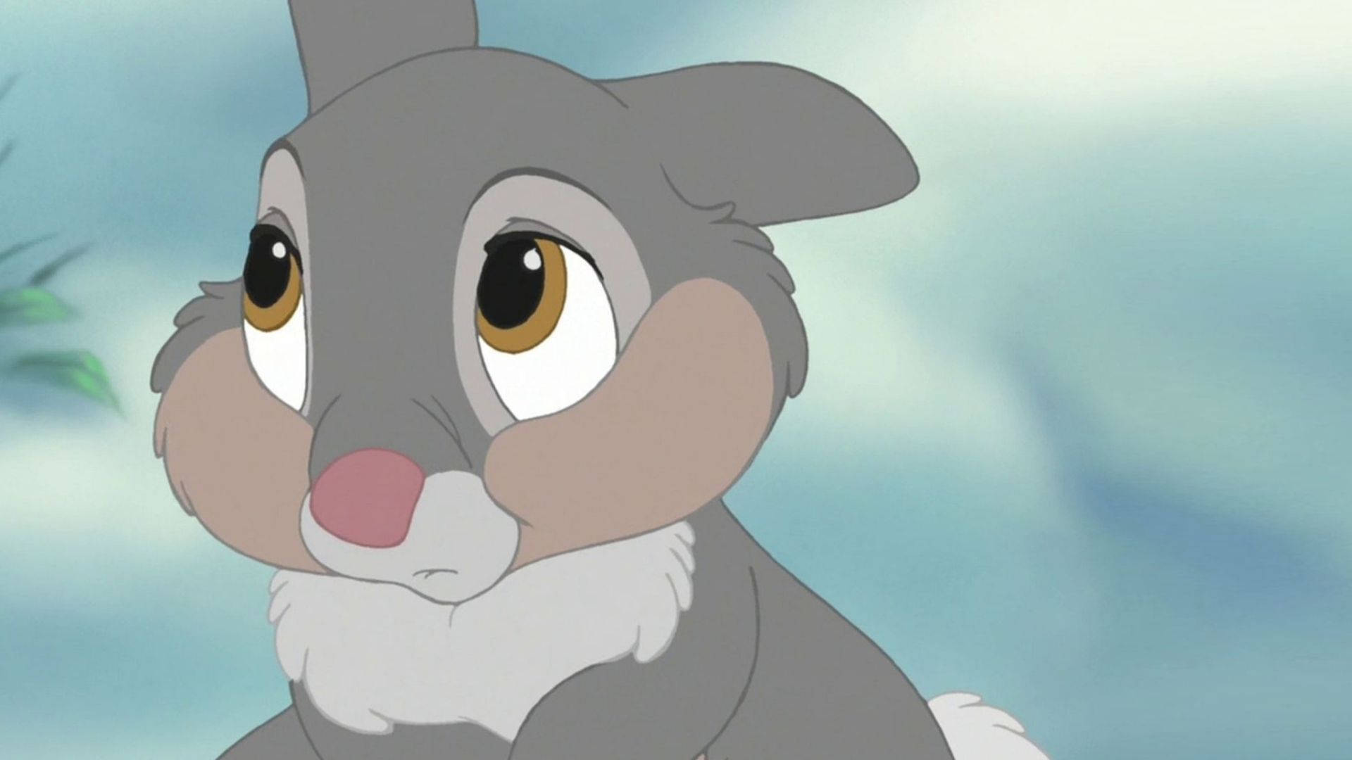 Thumper 桌布 壁紙 — 一隻灰色動畫兔子的特寫，有著大大的表情豐富的眼睛和粉紅色的鼻子，背景是柔和的藍色。