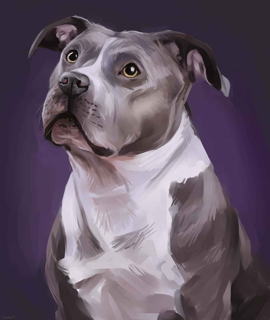 狗 桌布 壁紙 — 一隻灰色比特犬，金色眼睛，在深紫色背景上向上凝視，呈現繪畫風格的數位肖像。