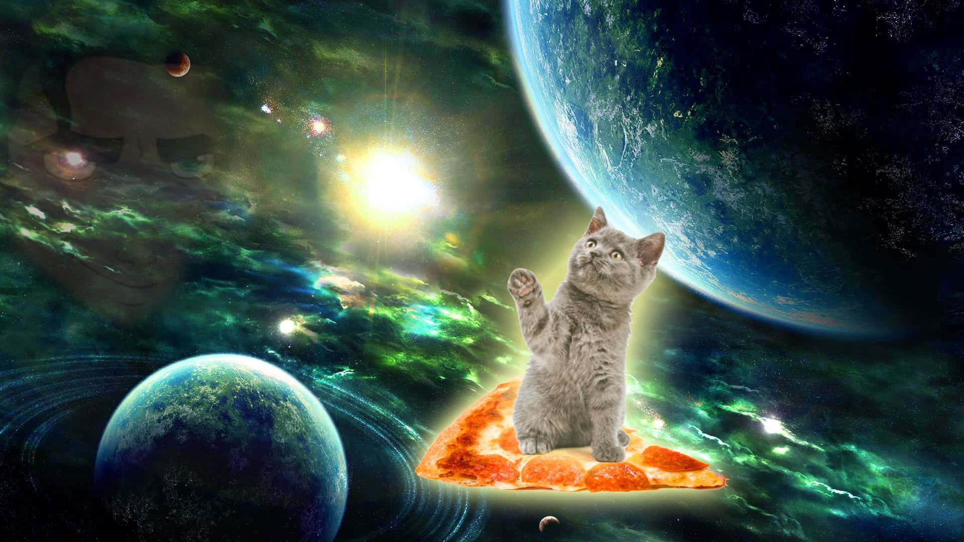 Planets 桌布 壁紙 — 一隻灰色的貓站在一片漂浮在充滿活力的宇宙場景中的披薩上，場景中有行星和發光的太陽。