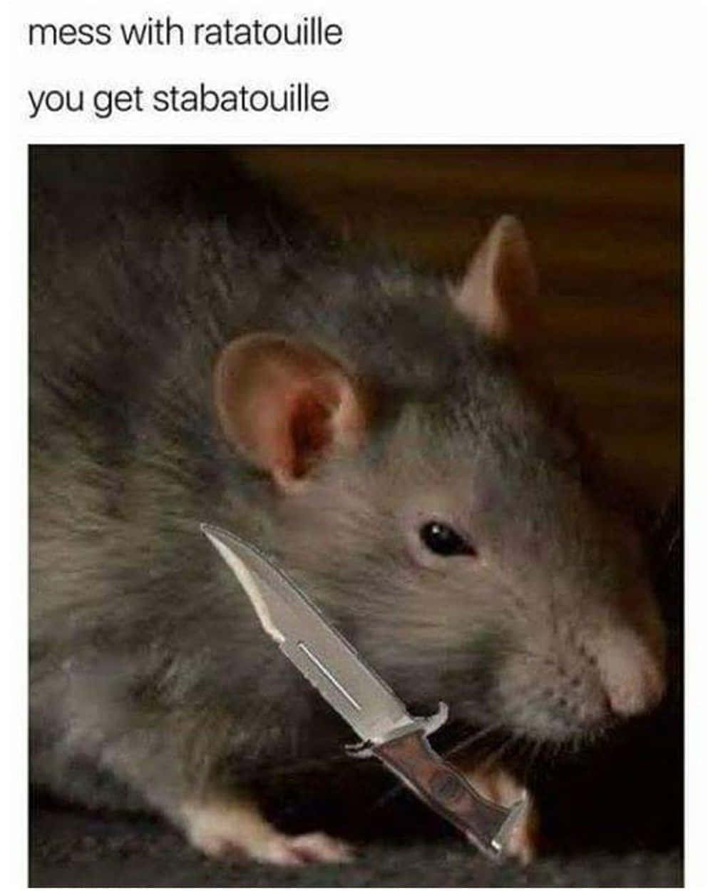 Rat 桌布 壁紙 — 一隻灰色老鼠嘴裡叼著一把刀，在深色木質背景前露出威脅的眼神。