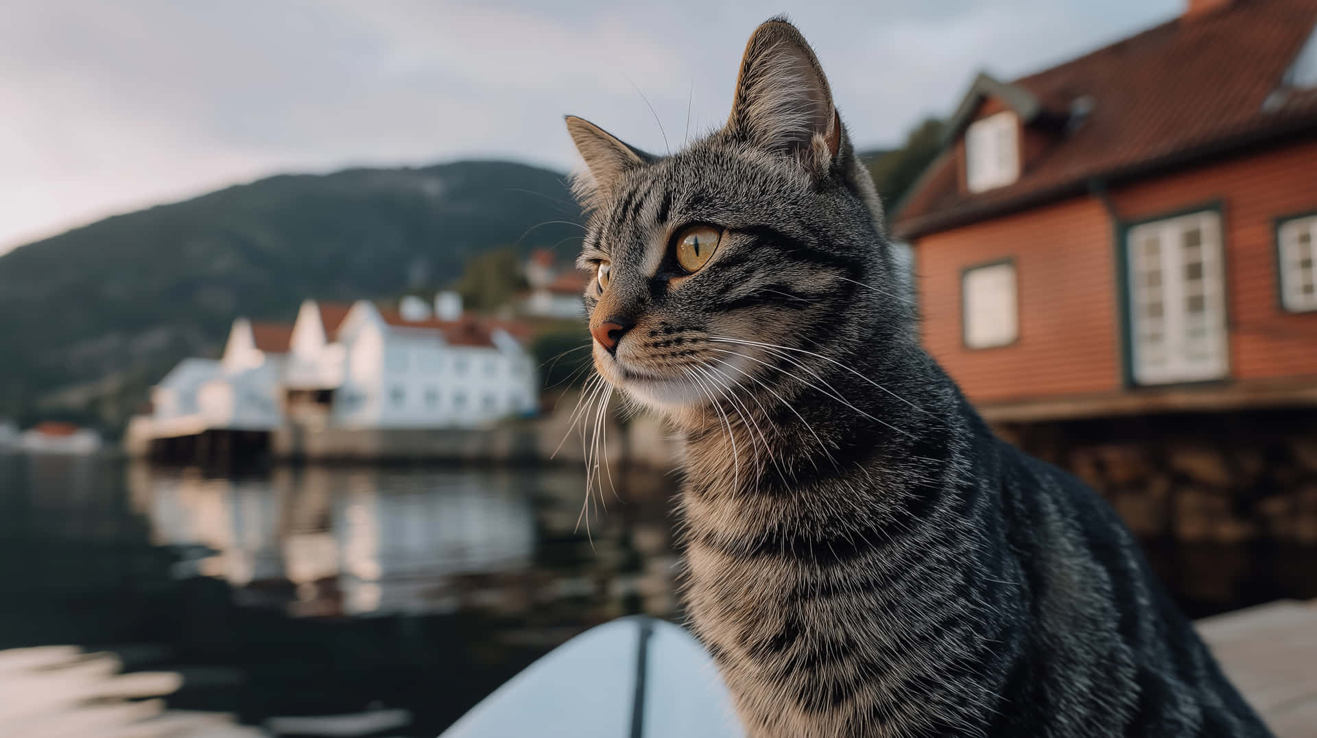 Tabby Cat by Waterside Village Landscape 壁紙 — 一隻灰色虎斑貓，有著引人注目的黃色眼睛，警覺地坐在碼頭上，俯瞰著一個寧靜的海濱村莊，村莊裡有紅白相間的房屋。