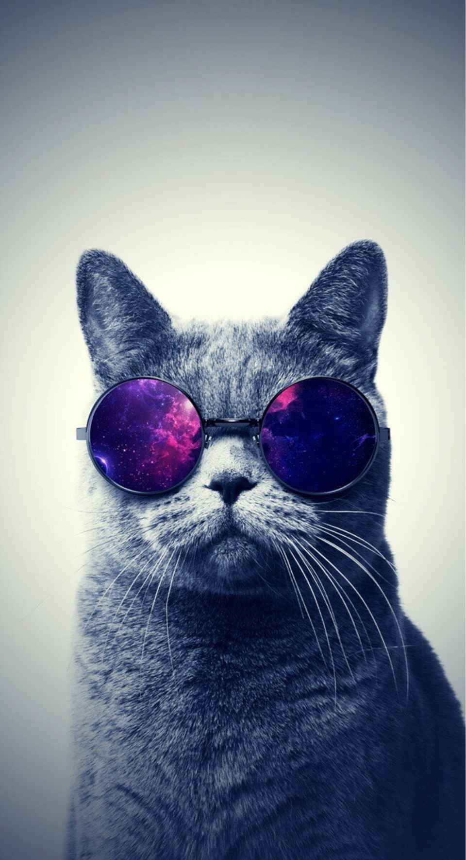 桌布 壁紙 — 一隻灰色貓咪戴著圓形太陽眼鏡，在柔和的灰色背景上反射出充滿活力的紫色和藍色星系。