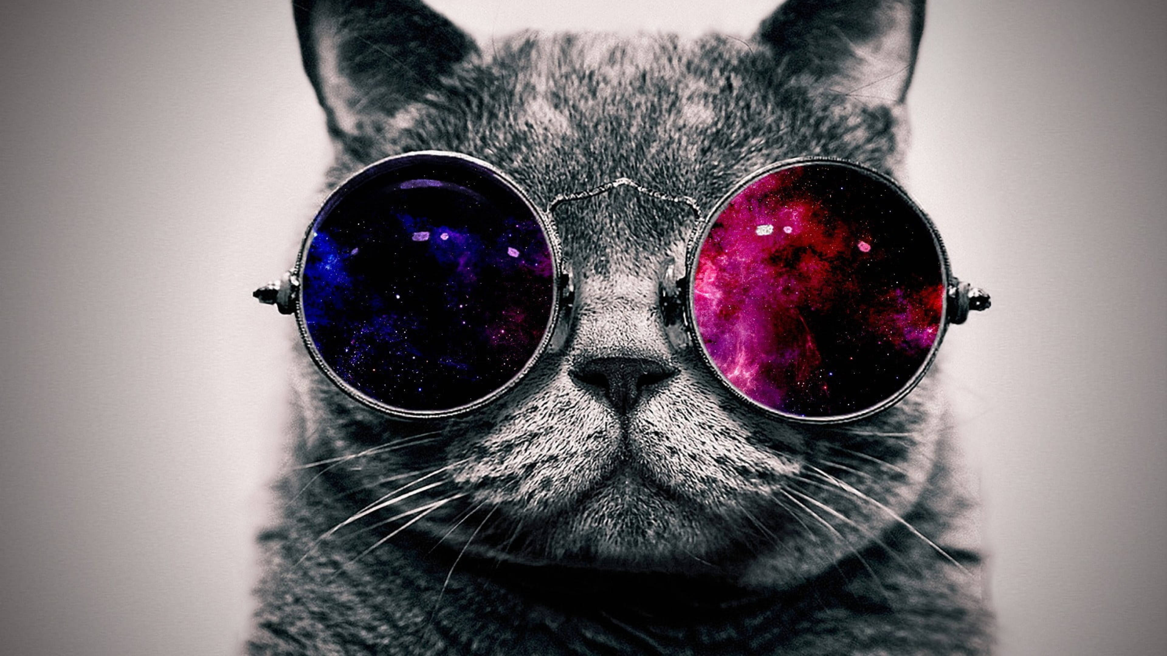 Cute Cat HD 桌布 壁紙 — 一隻灰色貓咪戴著圓形太陽眼鏡，在柔和的灰色背景上反射出深紫色和粉紅色的鮮豔宇宙星雲。