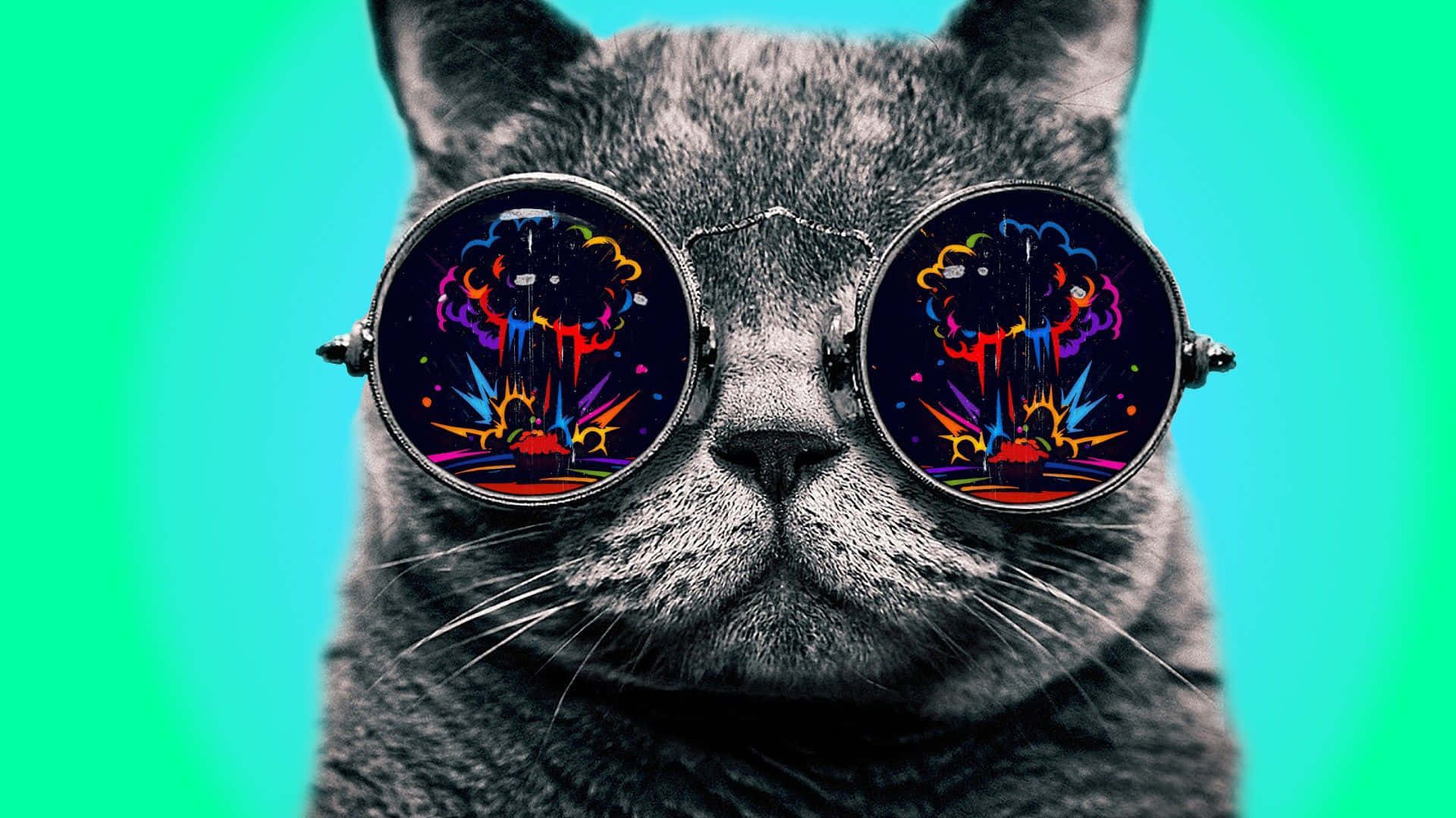 Trippy Animals 桌布 壁紙 — 一隻灰色貓咪戴著圓形眼鏡，在充滿活力的青綠色背景上反射出迷幻爆炸效果。