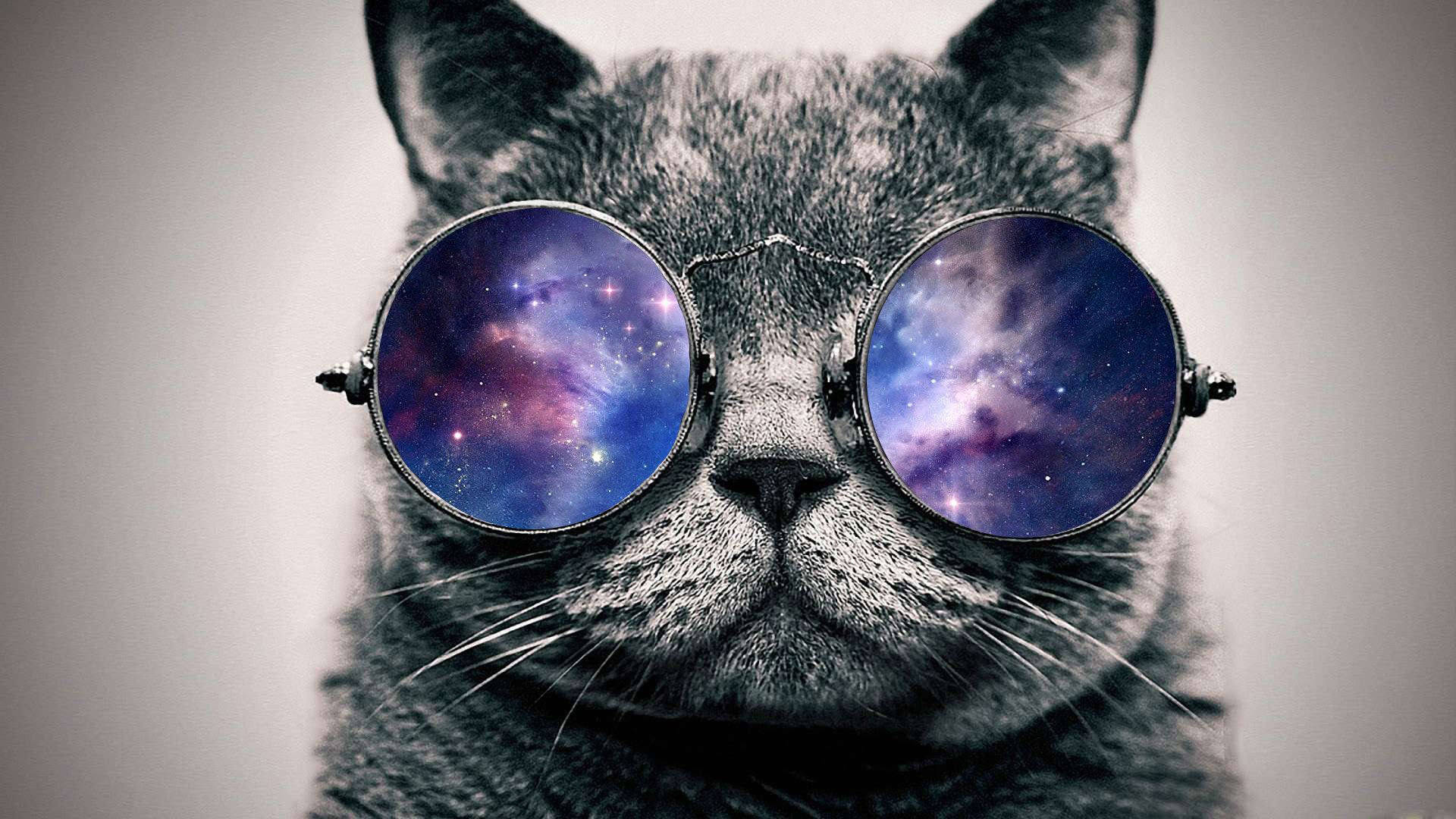 Cool 桌布 壁紙 — 一隻灰色貓咪戴著圓形眼鏡，在柔和的灰色背景上反射出充滿活力的宇宙星雲。