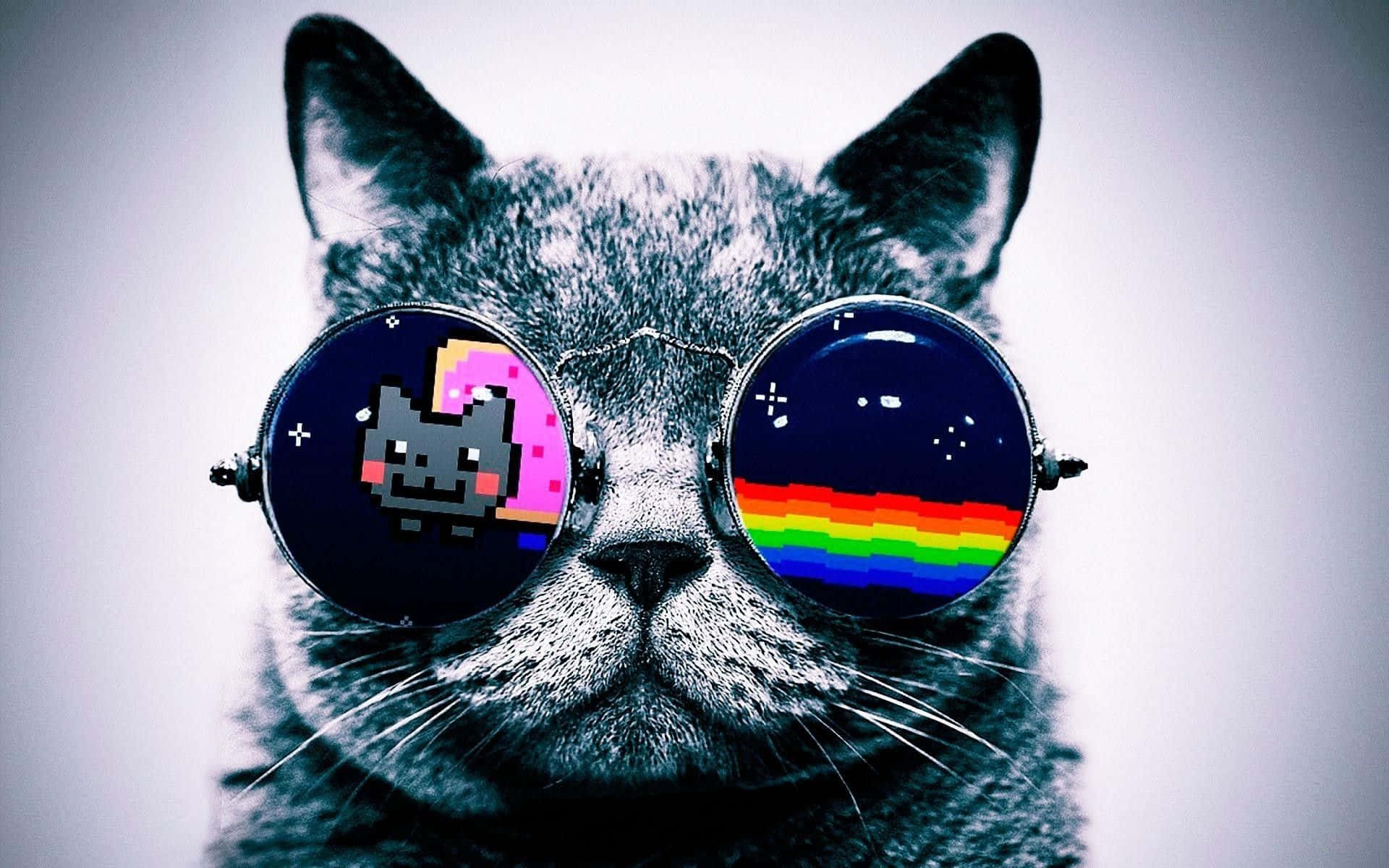 Hipster Galaxy Tumblr 桌布 壁紙 — 一隻灰色貓咪戴著超大太陽眼鏡，一邊鏡片顯示像素貓，另一邊顯示彩虹星雲。