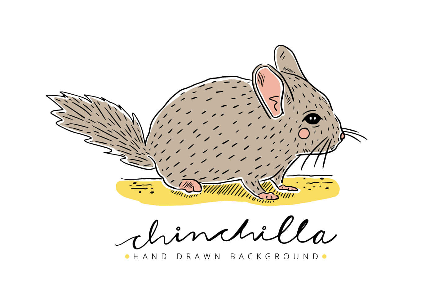 chinchilla 桌布 壁紙 — 一隻灰色龍貓，有粉紅色耳朵和鼻子，站在黃色地面上的手繪插圖。