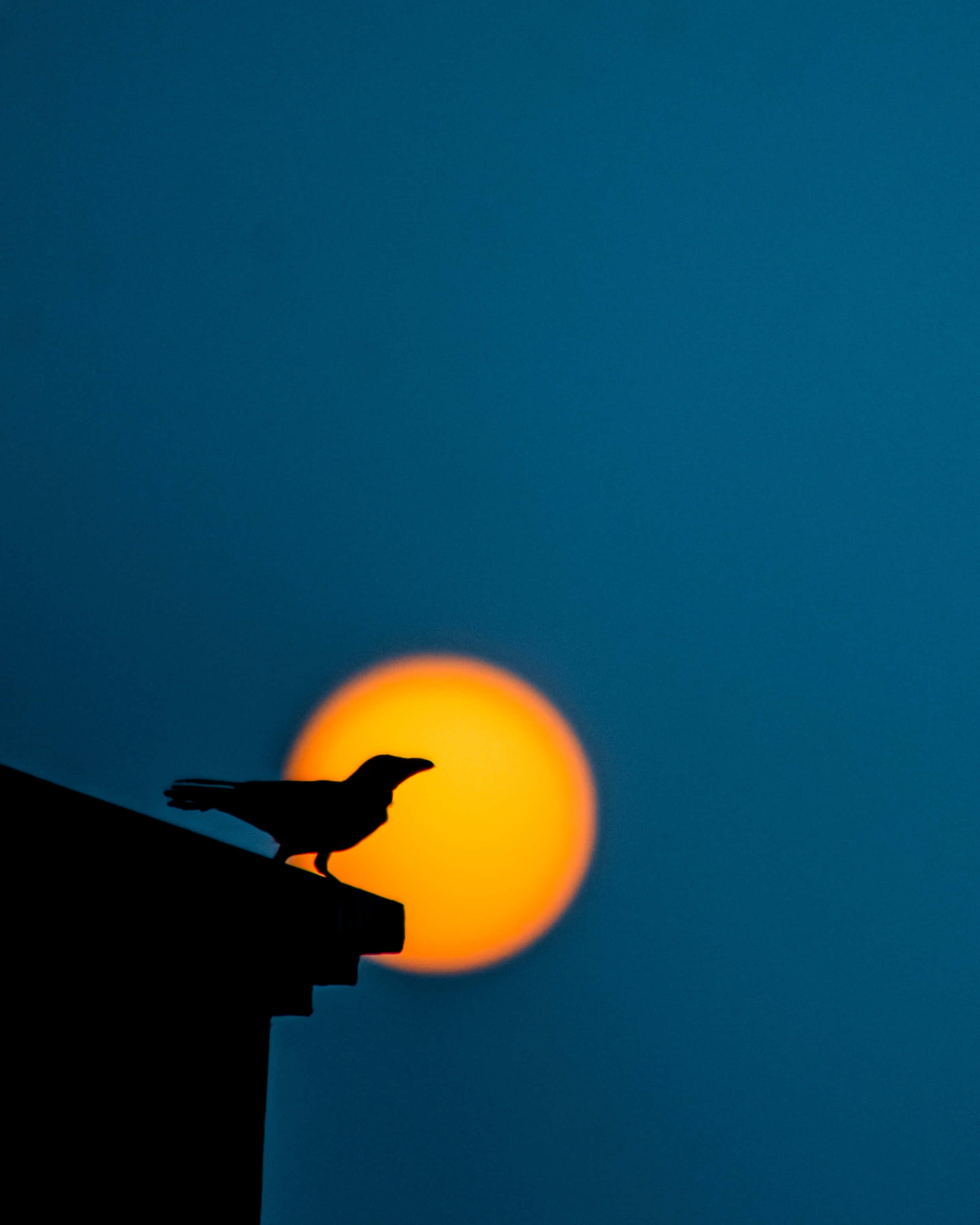 Silhouette 桌布 壁紙 — 一隻烏鴉的剪影棲息在屋頂邊緣，背景是深藍色暮色天空中發光的橙色太陽。