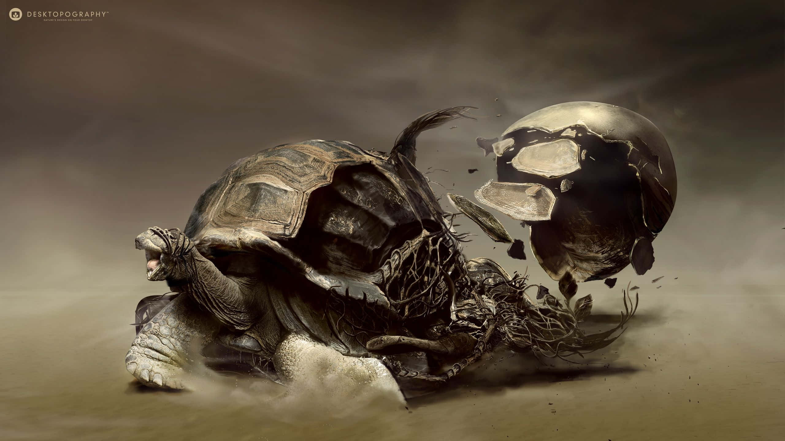 Turtle 桌布 壁紙 — 一隻烏龜的超現實數位藝術作品，其龜殼中伸出一個破碎的金屬頭骨，背景是塵土飛揚的暴風雨。
