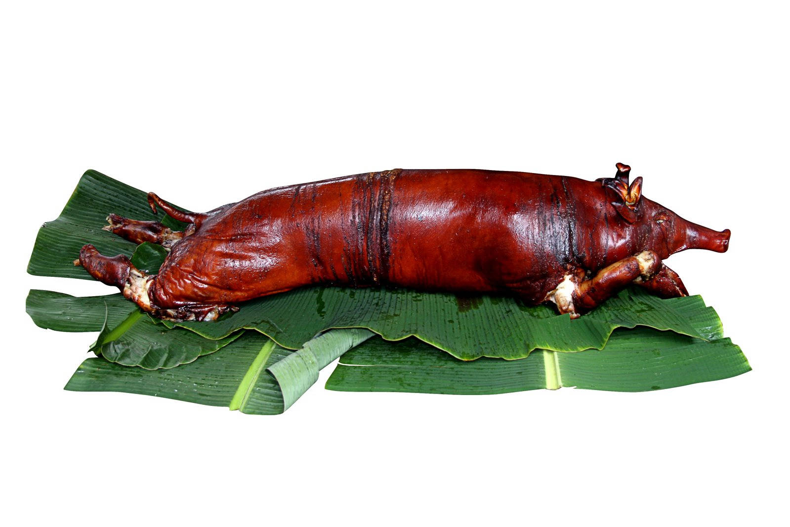Pig 桌布 壁紙 — 一隻烤全豬，皮脆金黃，放在大片綠色香蕉葉上，背景為白色。