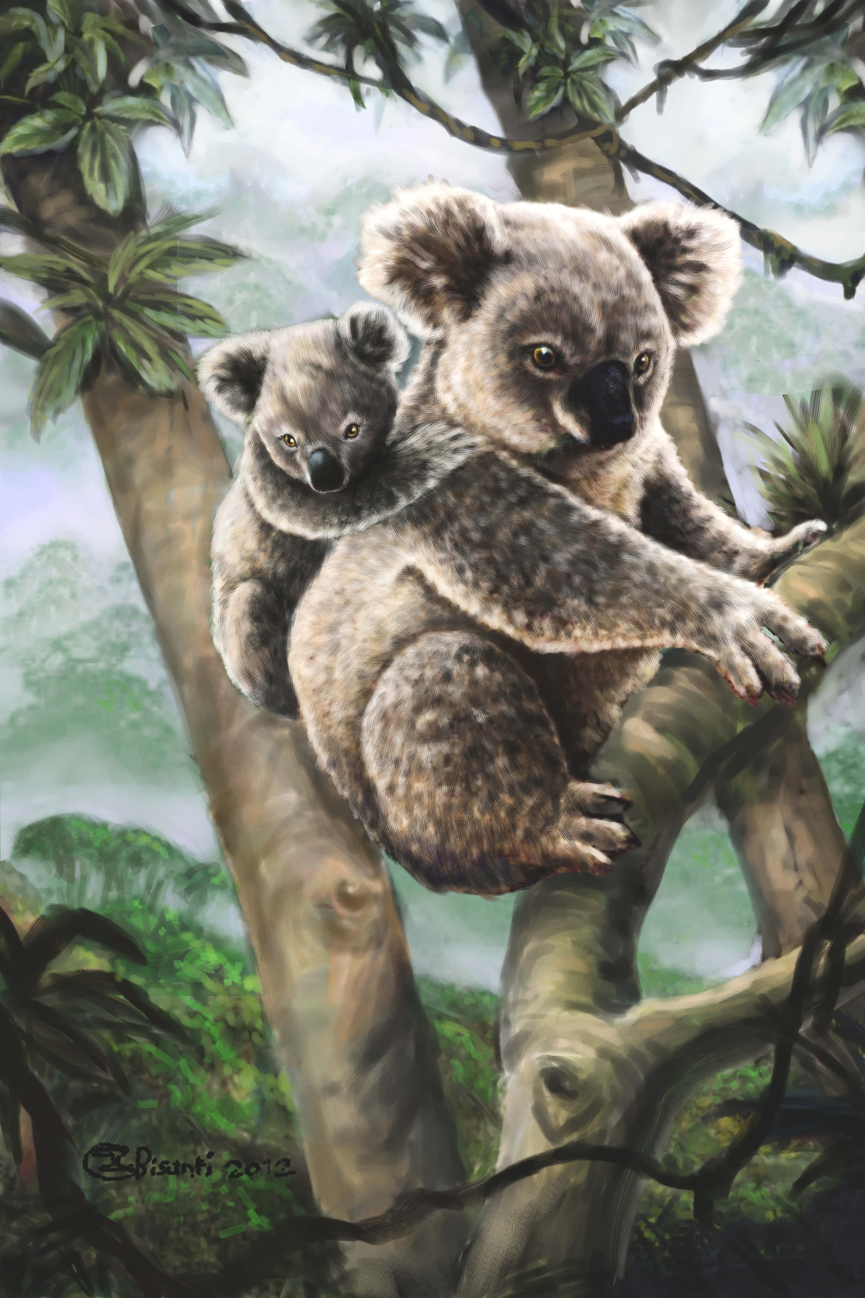 Koala 桌布 壁紙 — 一隻無尾熊媽媽和她的寶寶抓住樹枝，在一個茂密翠綠的森林中，背景有柔和的霧氣。