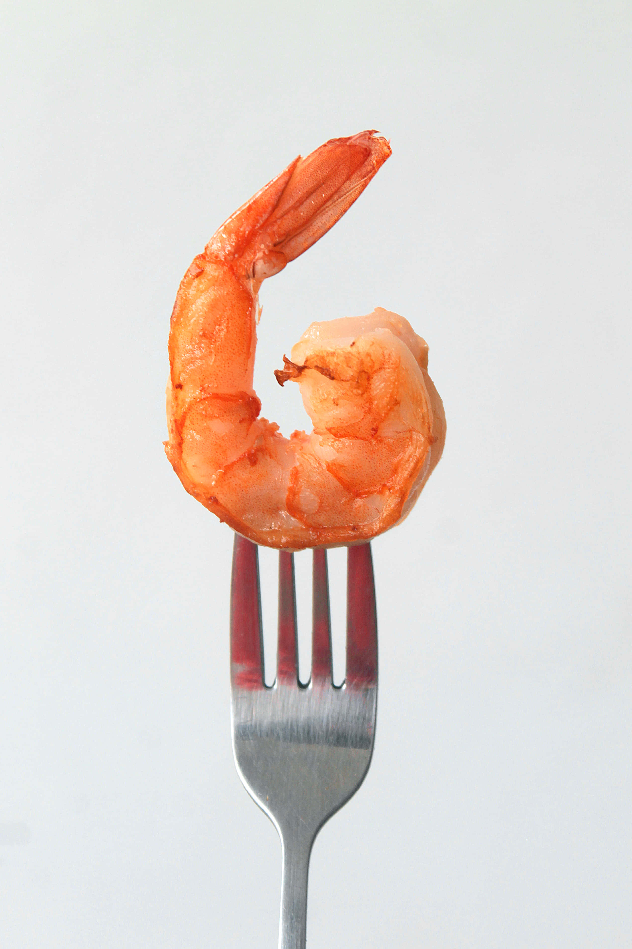 shrimp 桌布 壁紙 — 一隻煮熟的蝦優雅地蜷曲在銀叉上，襯著純白背景。