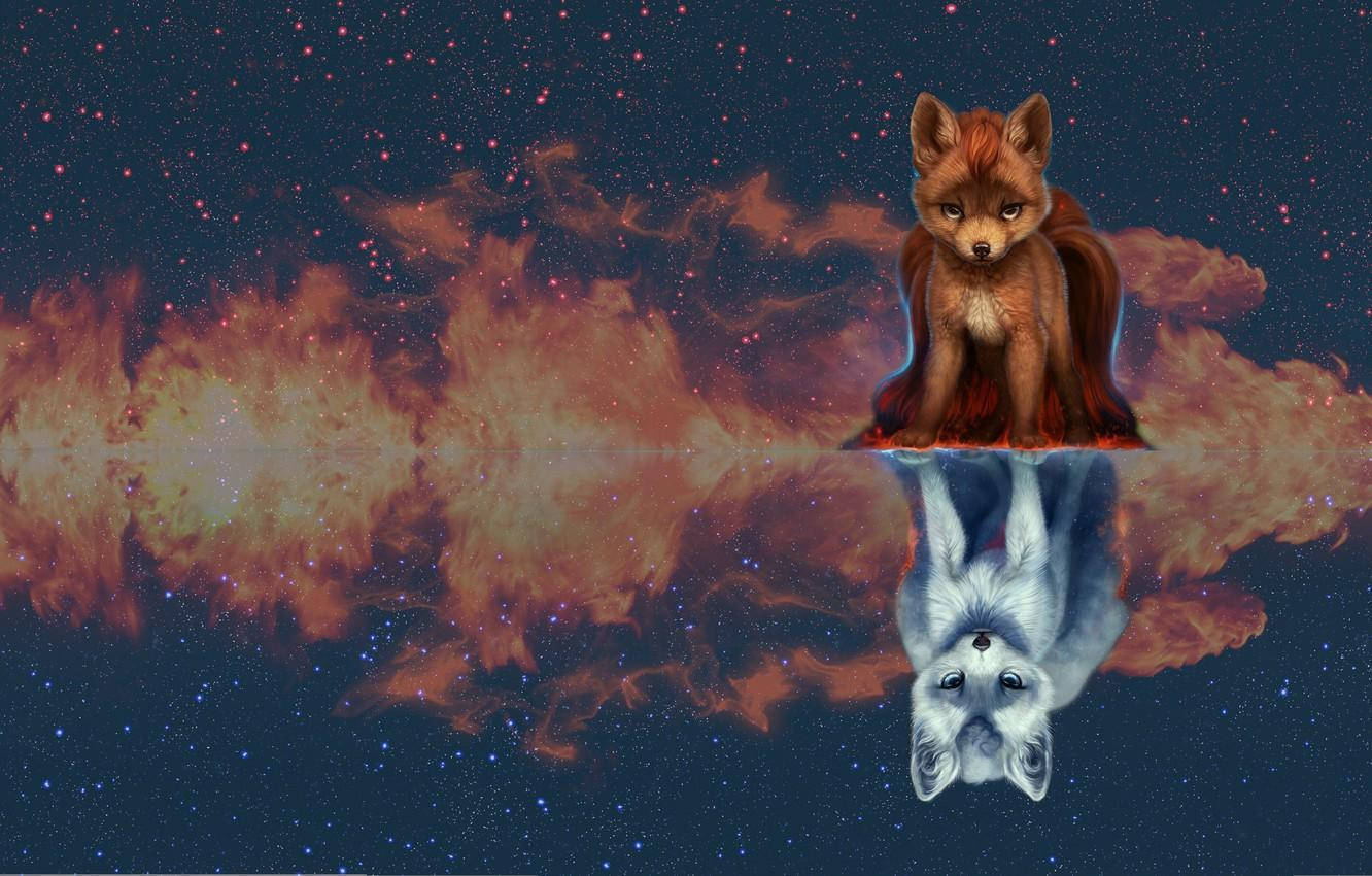可愛 桌布 壁紙 — 一隻狐狸坐在宇宙星雲之上，星雲倒映在星空虛空中，其倒影上下顛倒，空靈飄渺。
