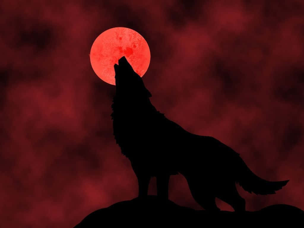Red Wolf 桌布 壁紙 — 一隻狼的剪影映襯著發光的紅月，在血紅色的天空下於黑暗的山丘頂上嚎叫。