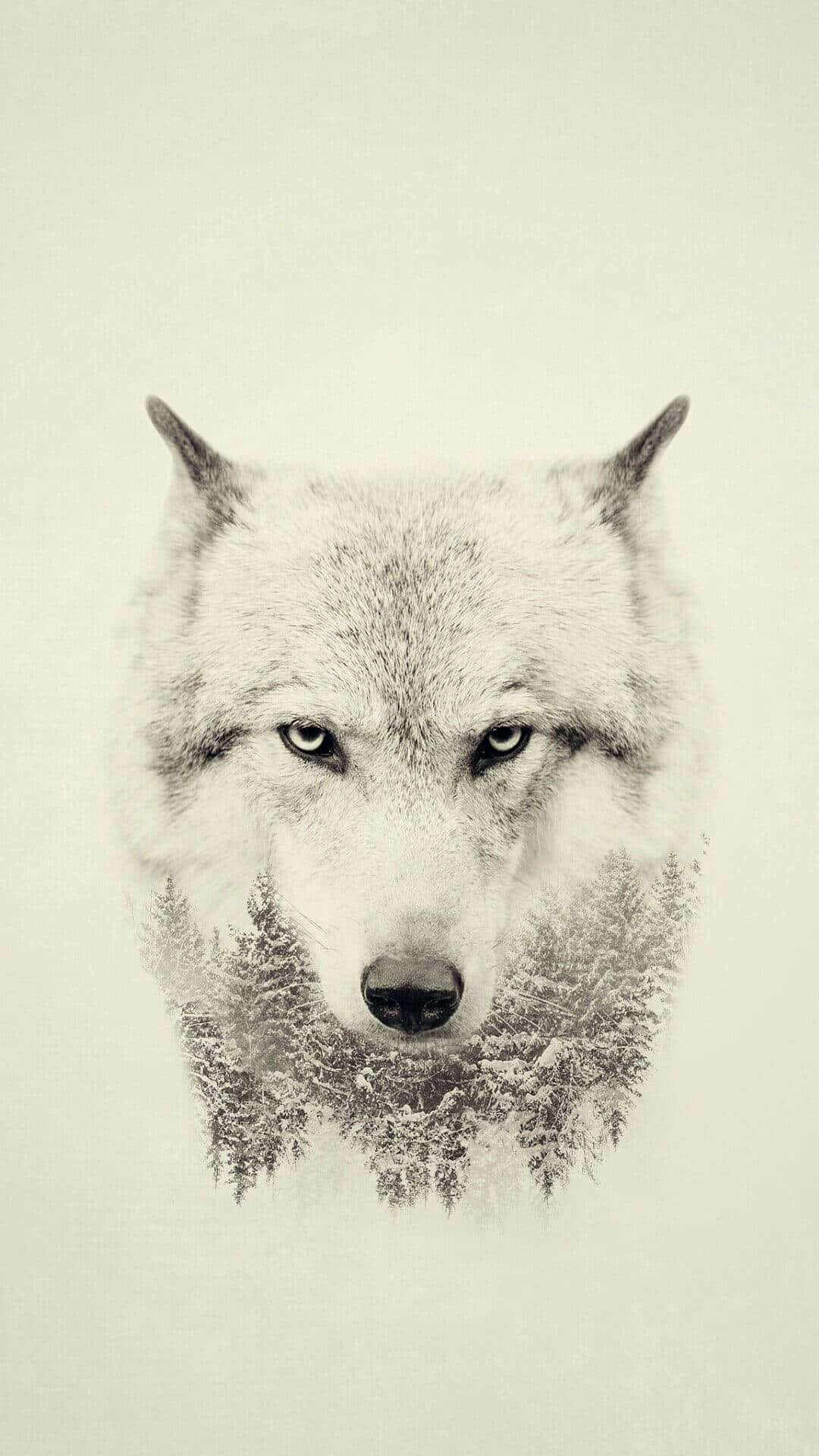 Wolf Aesthetic 桌布 壁紙 — 一隻狼的強烈目光從雪地森林中浮現，以單色調呈現在淡色背景上。