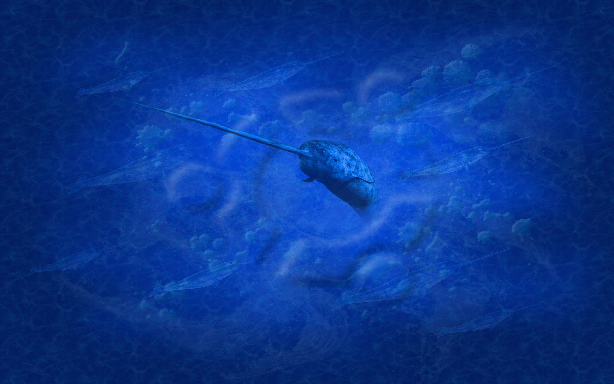 Narwhal 桌布 壁紙 — 一隻獨角鯨在深藍色的北極水域中滑行，周圍環繞著幽靈般的半透明魚類和珊瑚結構。
