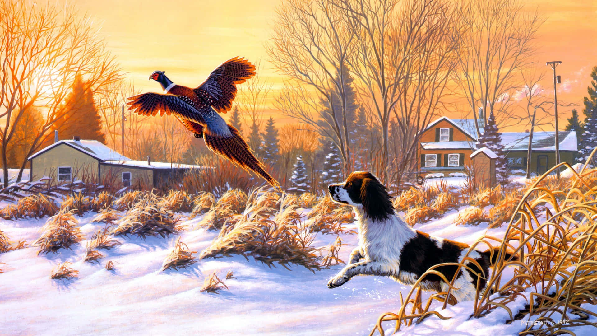 birds 桌布 壁紙 — 一隻獵犬在白雪覆蓋的冬季草叢中跳躍，一隻野雞在金色夕陽的天空中飛起。