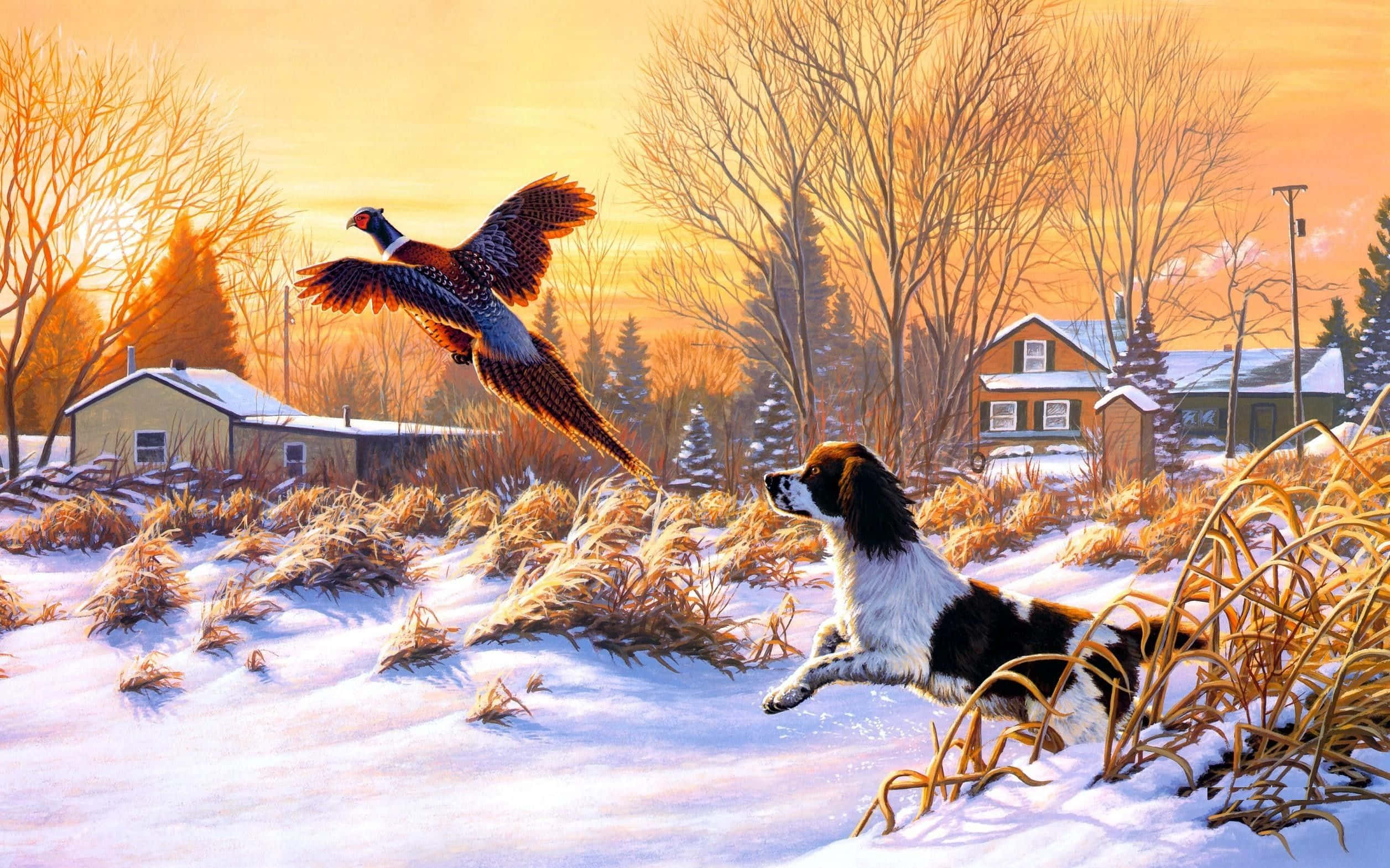 動物 桌布 壁紙 — 一隻獵犬在雪地冬草中躍起，一隻雉雞在金色夕陽天空下起飛。