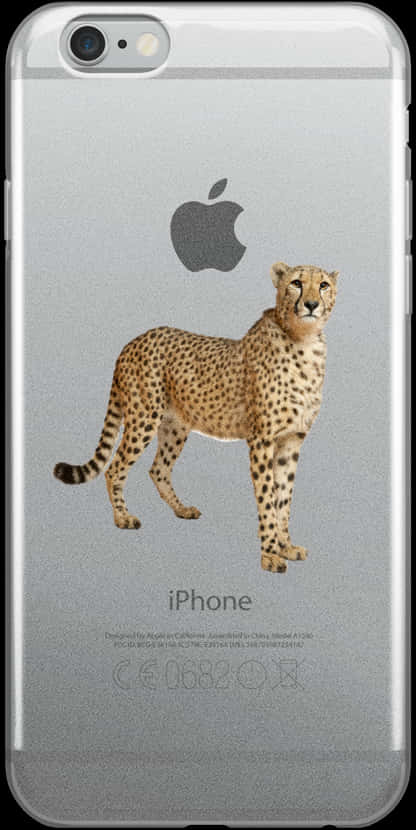 豹紋 桌布 壁紙 — 一隻獵豹準備就緒，站立在銀色 iPhone 6s 的背面，Apple 標誌和文字清晰可見。