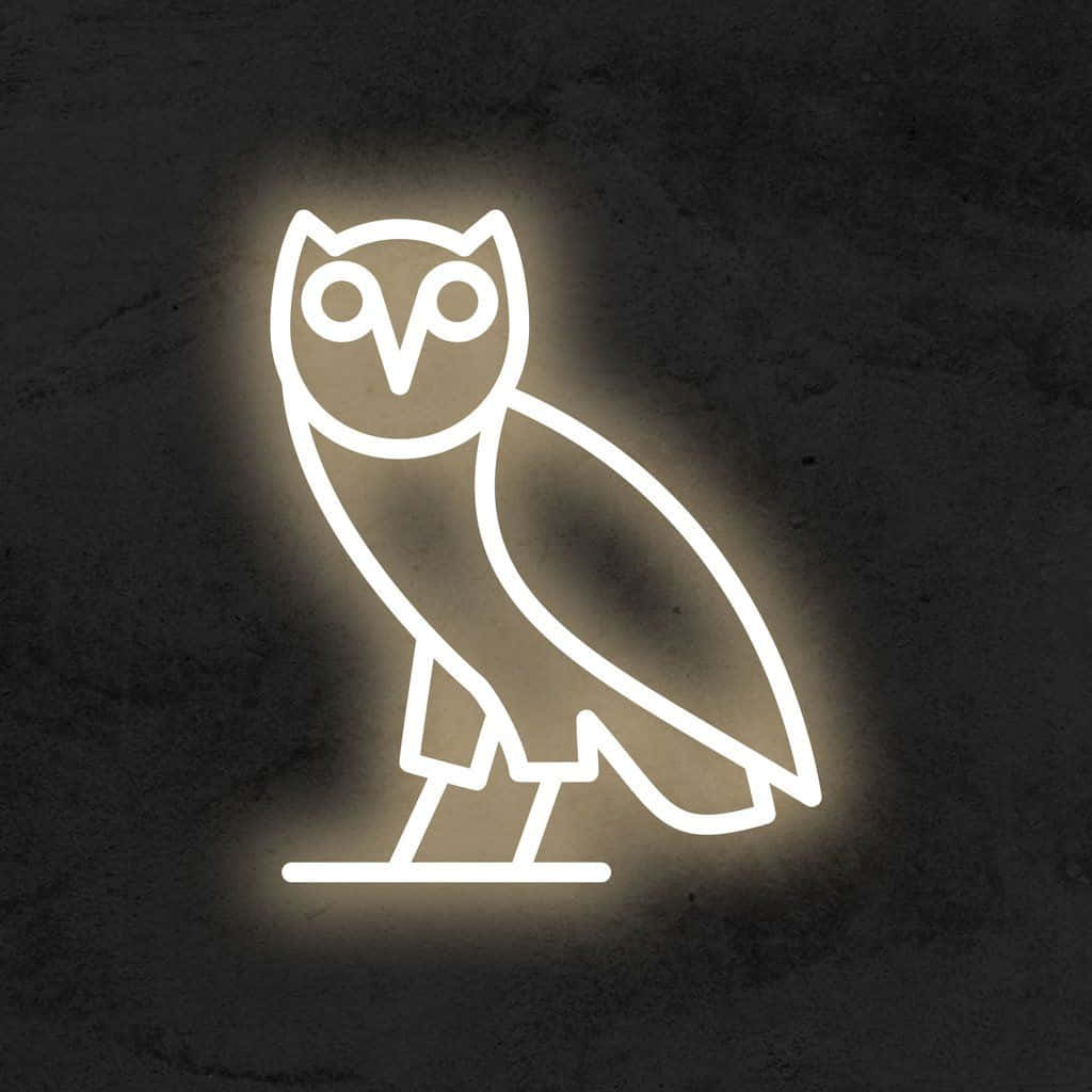 Drake Ovo Owl iPhone 桌布 壁紙 — 一隻發光白色霓虹燈貓頭鷹輪廓立於深色紋理牆前，投射出柔和溫暖的光線。