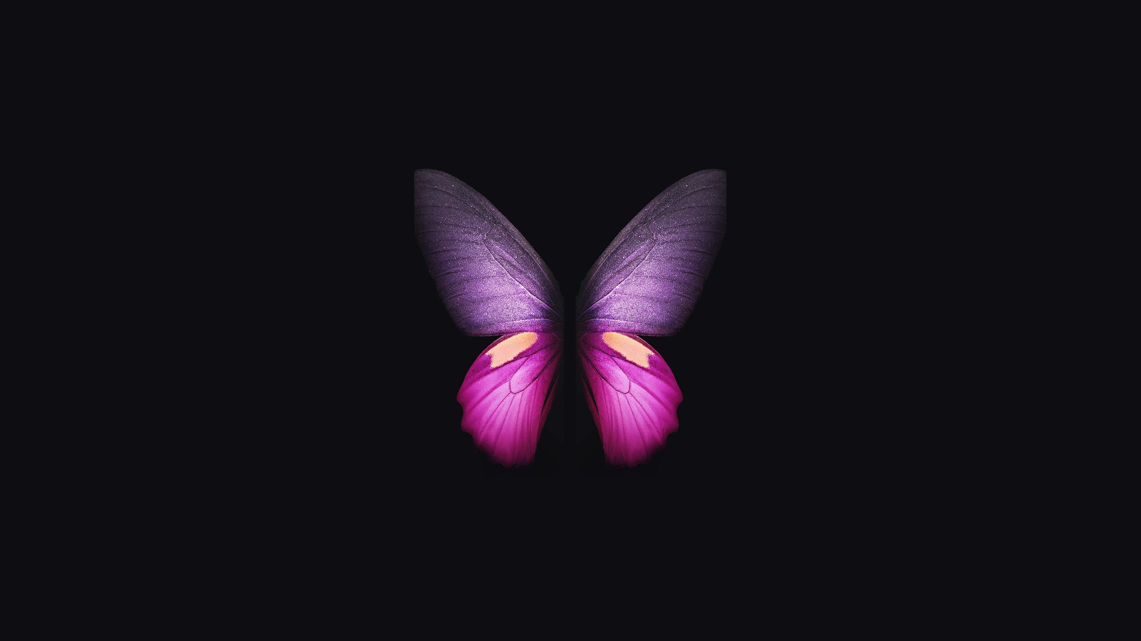 Butterfly Photography 桌布 壁紙 — 一隻發光的紫色和粉紅色蝴蝶，帶有發光的黃色點綴，在深邃的黑色虛空中居中靜止。