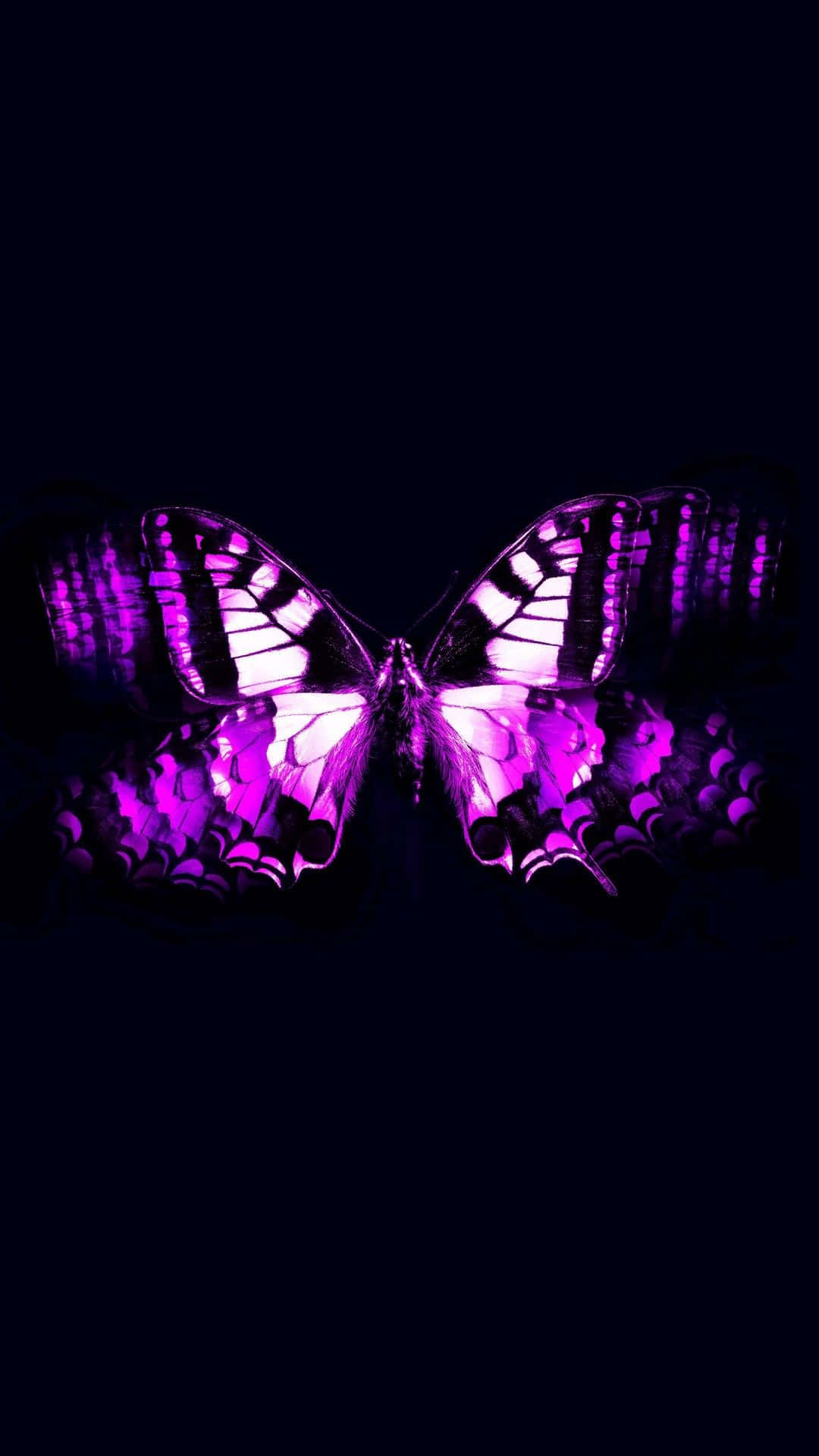 Purple Butterfly iPhone 桌布 壁紙 — 一隻發光的紫色蝴蝶，帶有複雜的翅膀圖案，在深黑色背景上閃耀。
